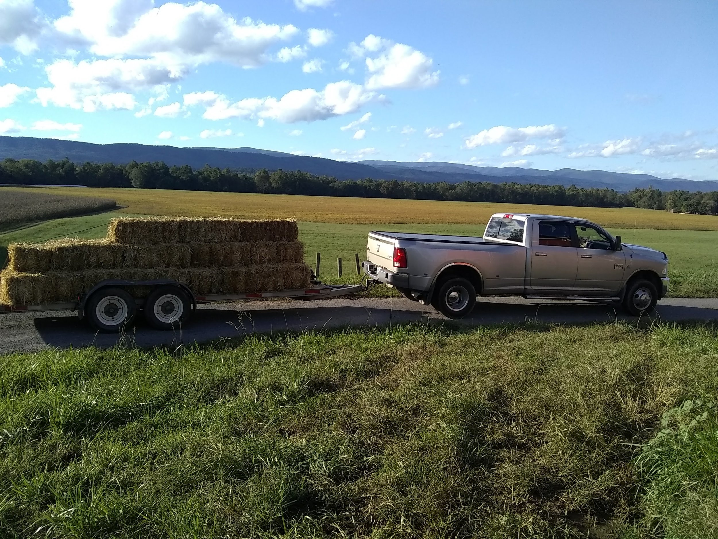 Little Mikeys Hauling Hay.jpg