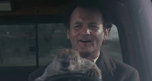 Your security testers, freed from Groundhog Day.