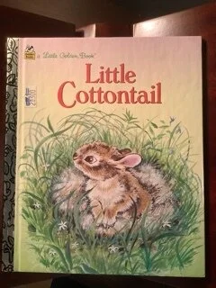 cottontail1.jpeg