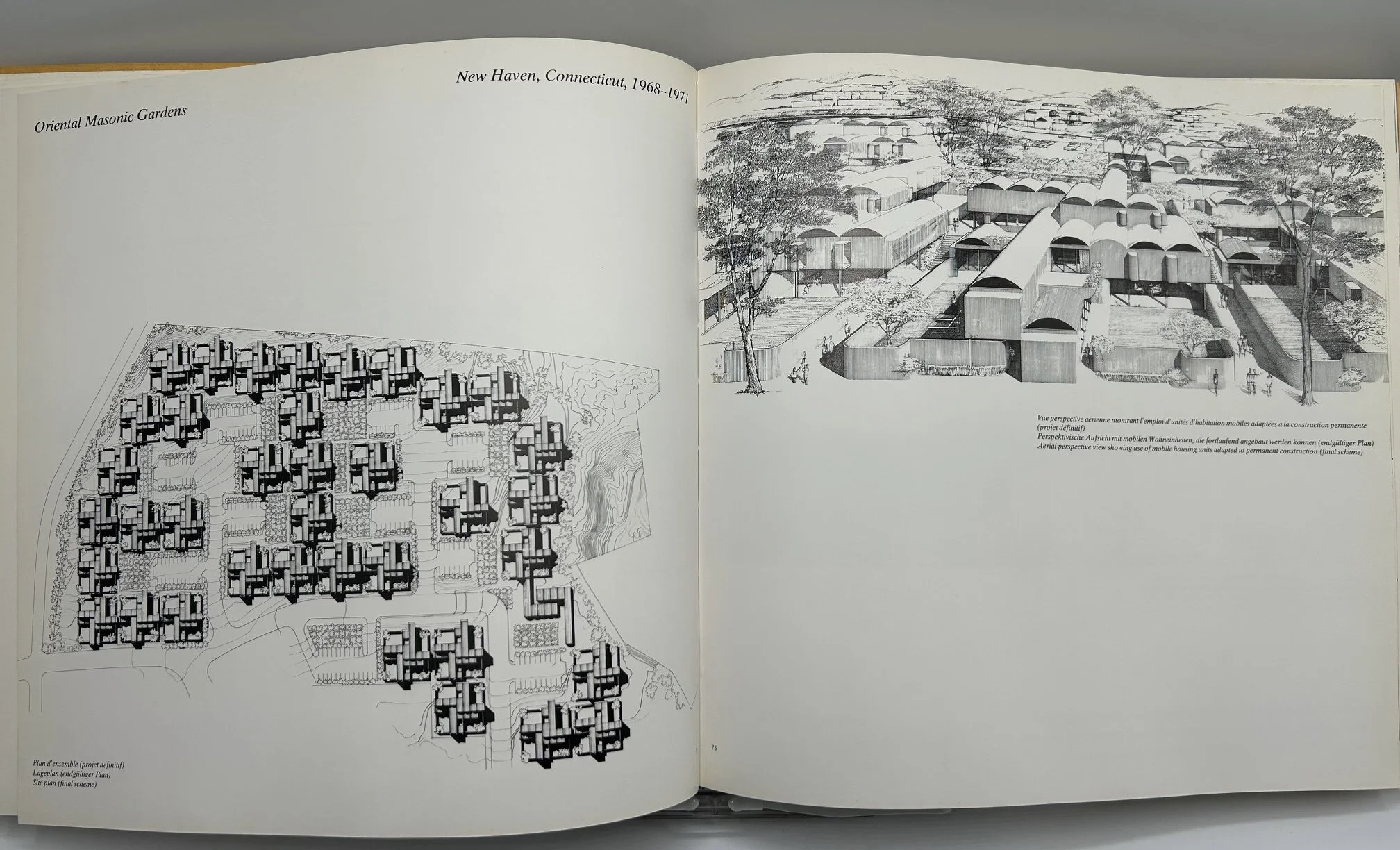 531-11 IMG_1784.JPEG