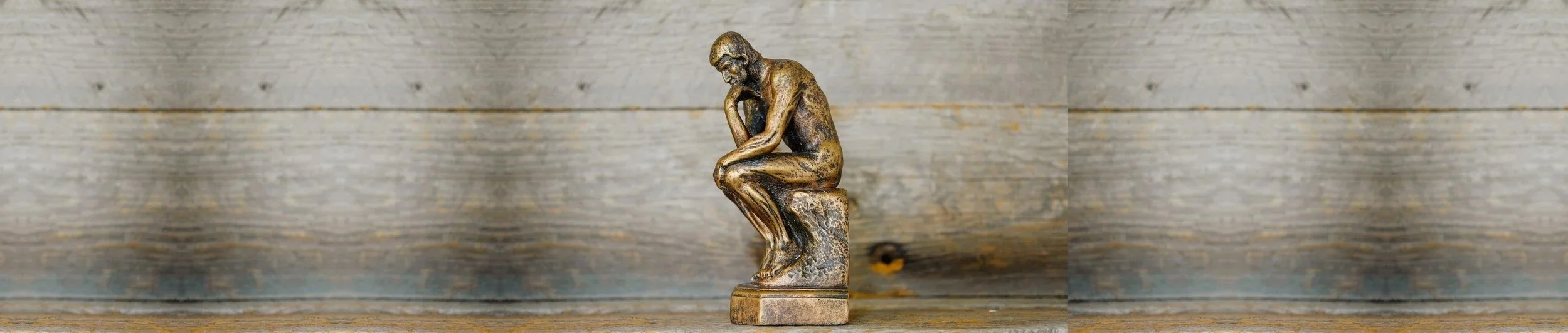 thinker_banner_extra_wide.jpg