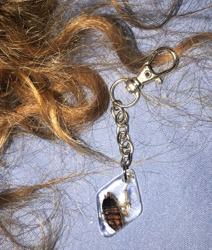 Screen Shot 2018-09-17 at 9.07.26 PM.png