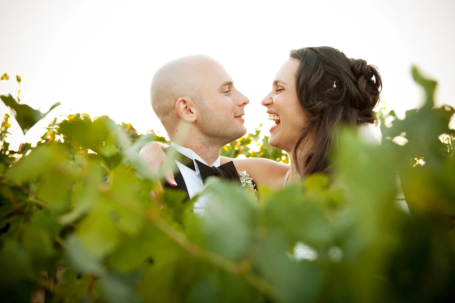 Diana Fast Photography. Bay Area wedding and portraits