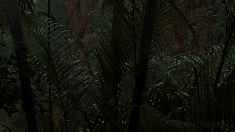 ezgif.com-video-to-gif (3).gif