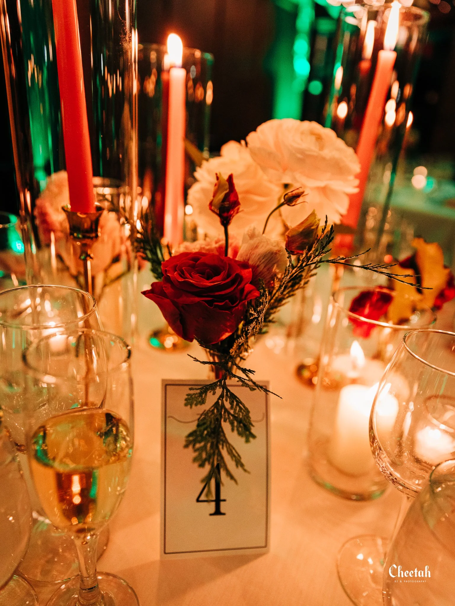 Michelle & Jim Willowdale Estate Wedding Topsfield Ma  Cheetah DJ & Photography Salem Ma1621.jpg