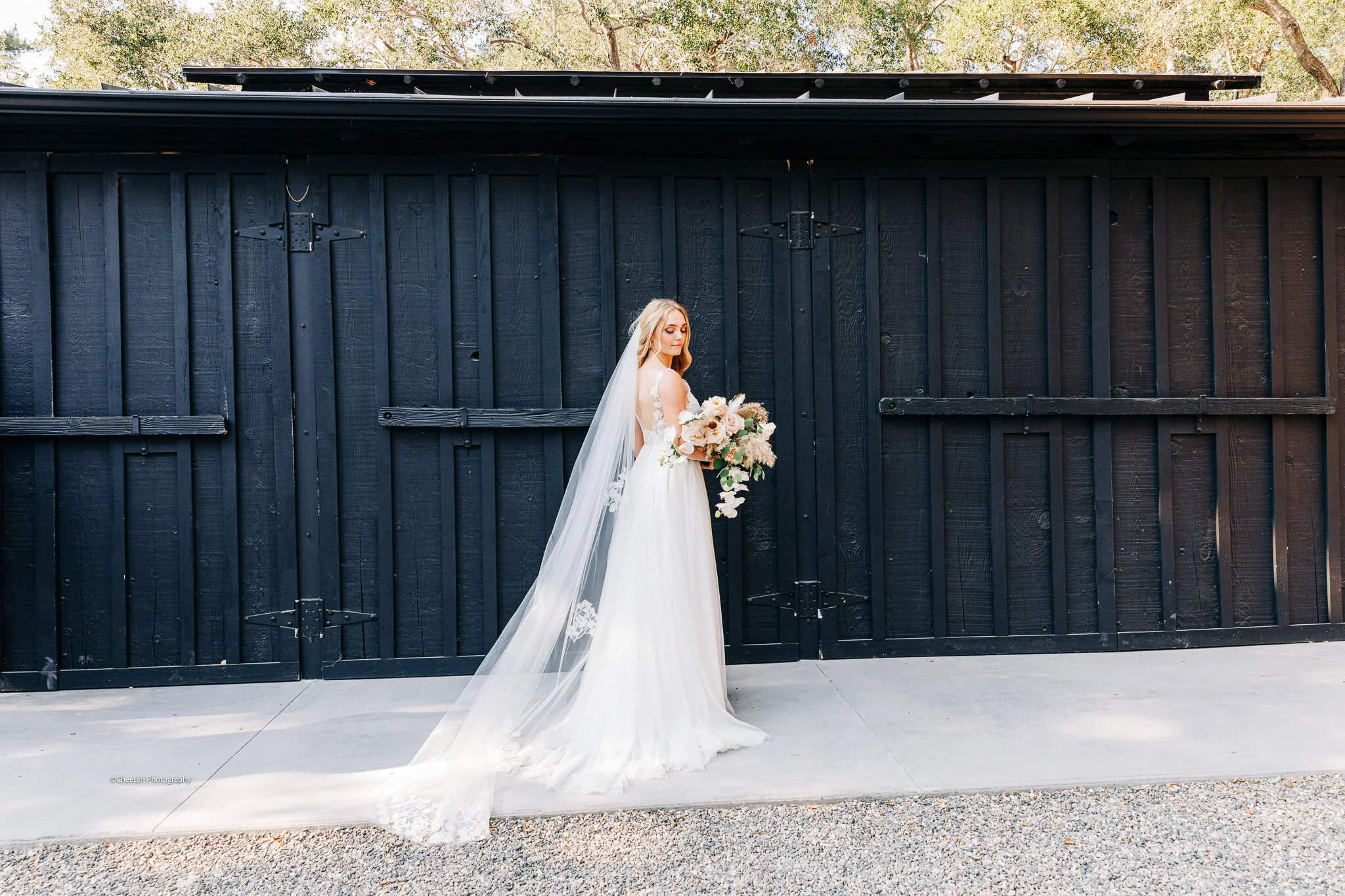 Malia & Tyler Wedding Cheetah DJ & Photography San Luis Obispo CA1522.jpg