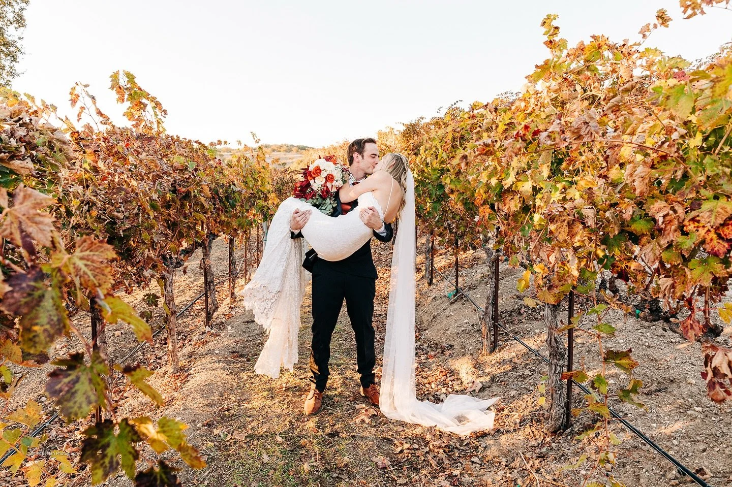 Fall Wedding in the Vineyard🖤
#cheetahdjphotography
#salemmaweddingphotographer 
#salemmaweddingdj
#massachusettsweddingphotographer 
#massachusettsweddingdj 
#salemma
#salemmassachusetts 
#weloveweddings