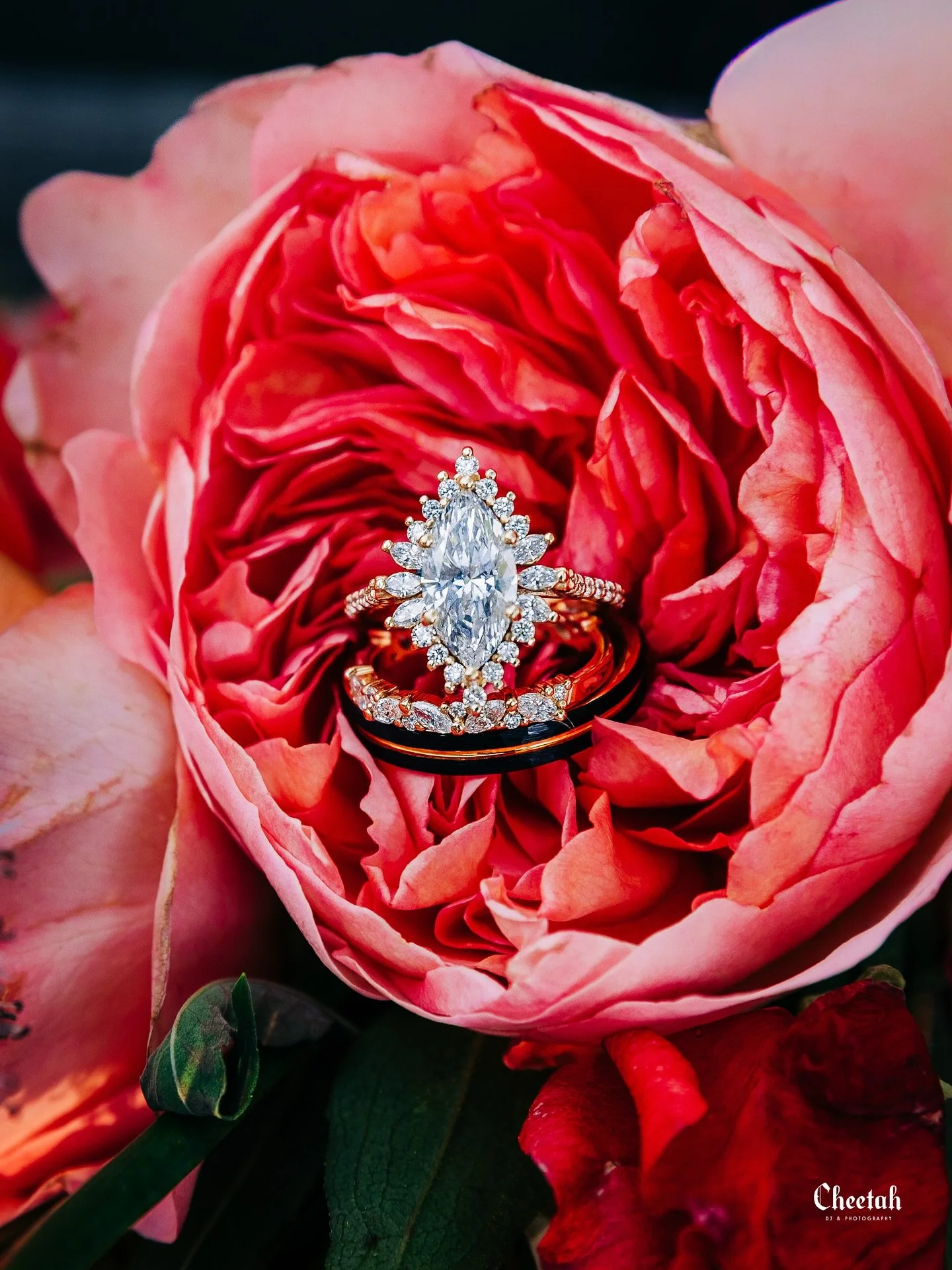 The Rings🖤
#cheetahdjphotography
#salemmaweddingphotographer 
#salemmaweddingdj
#massachusettsweddingphotographer 
#massachusettsweddingdj 
#salemma
#salemmassachusetts 
#weloveweddings
#salemmass 
#witchcity