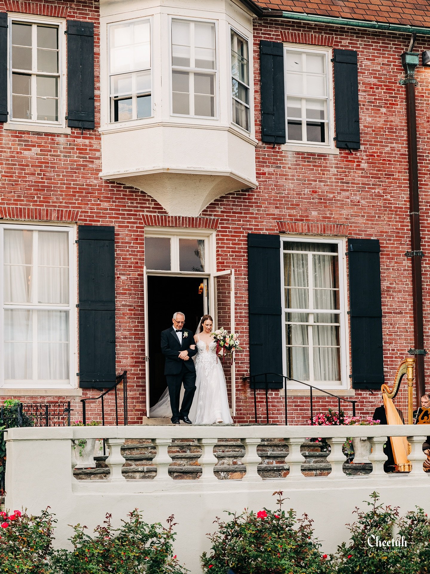The Wedding Processional🖤
#cheetahdjphotography
#salemmaweddingphotographer 
#salemmaweddingdj
#massachusettsweddingphotographer 
#massachusettsweddingdj 
#salemma
#salemmassachusetts 
#weloveweddings
