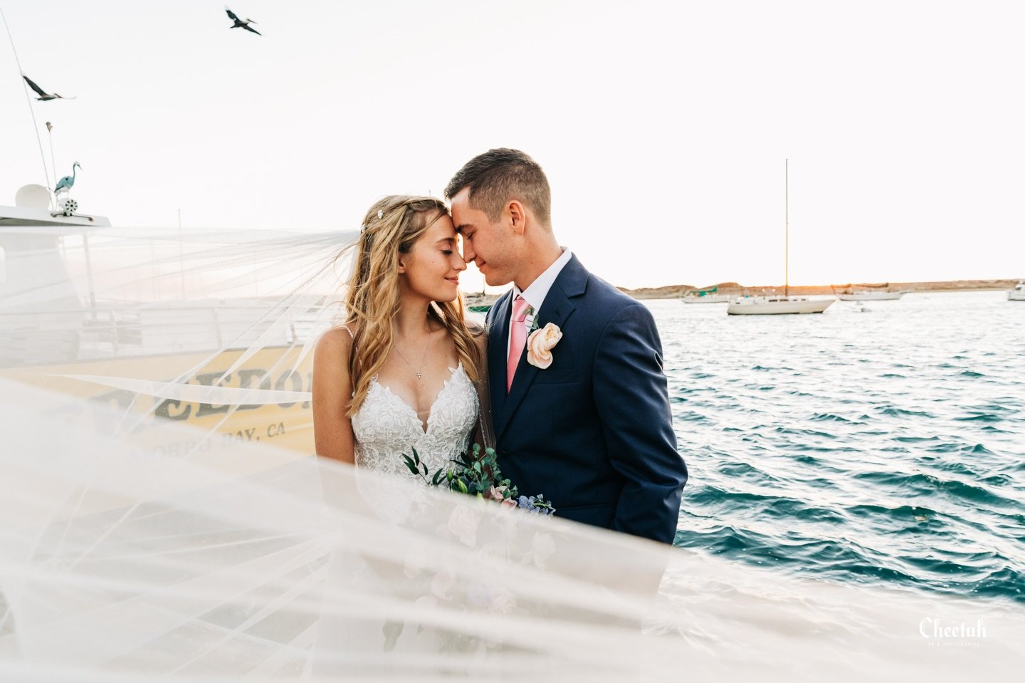 Love the pelicans flying into my shot🖤
#cheetahdjphotography
#salemmaweddingphotographer 
#salemmaweddingdj
#massachusettsweddingphotographer 
#massachusettsweddingdj 
#salemma
#salemmassachusetts 
#weloveweddings