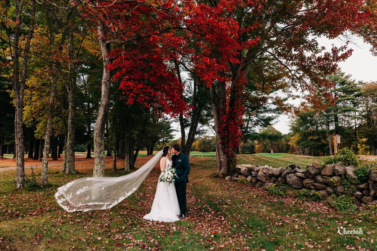 Fall Weddings are so Beautiful🖤
#cheetahdjphotography
#salemmaweddingphotographer 
#salemmaweddingdj
#massachusettsweddingphotographer 
#massachusettsweddingdj 
#salemma
#salemmassachusetts 
#weloveweddings