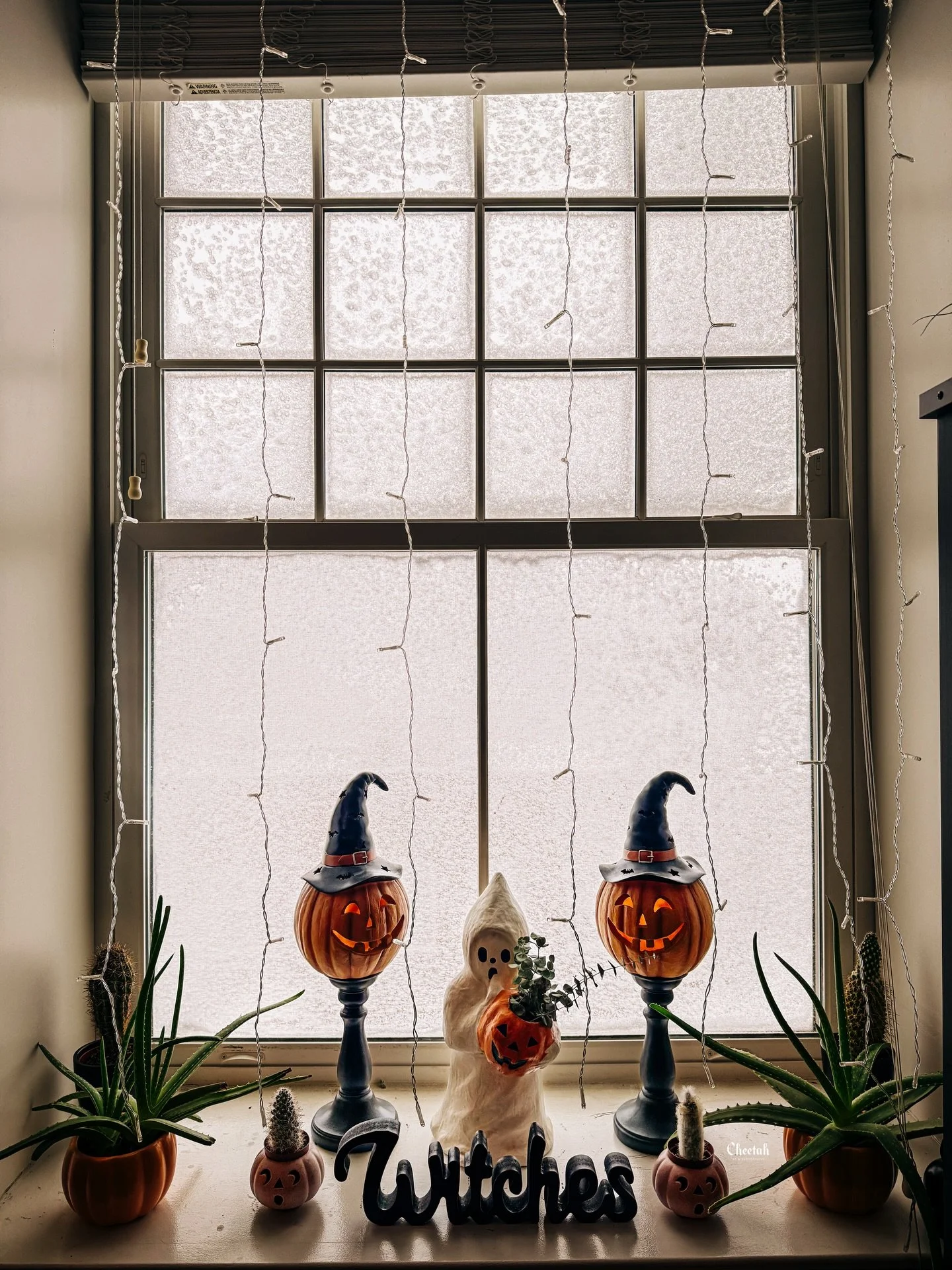 Our View right Now🖤

#cheetahdjphotography
#salemma
#salemmassachusetts 
#salemmass 
#witchcity