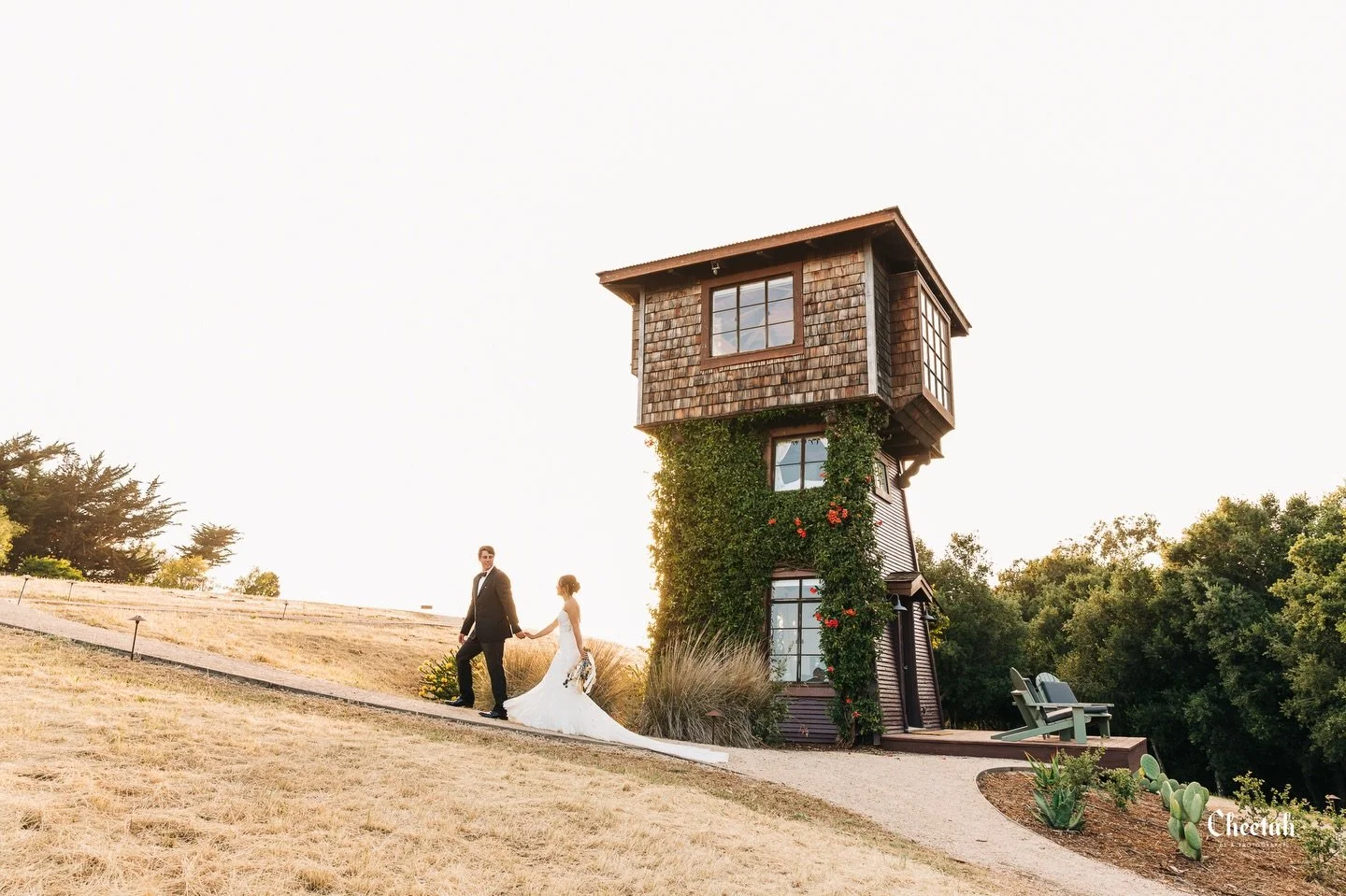 Golden Hour🖤

#cheetahdjphotography
#salemmaweddingphotographer 
#salemmaweddingdj
#massachusettsweddingphotographer 
#massachusettsweddingdj