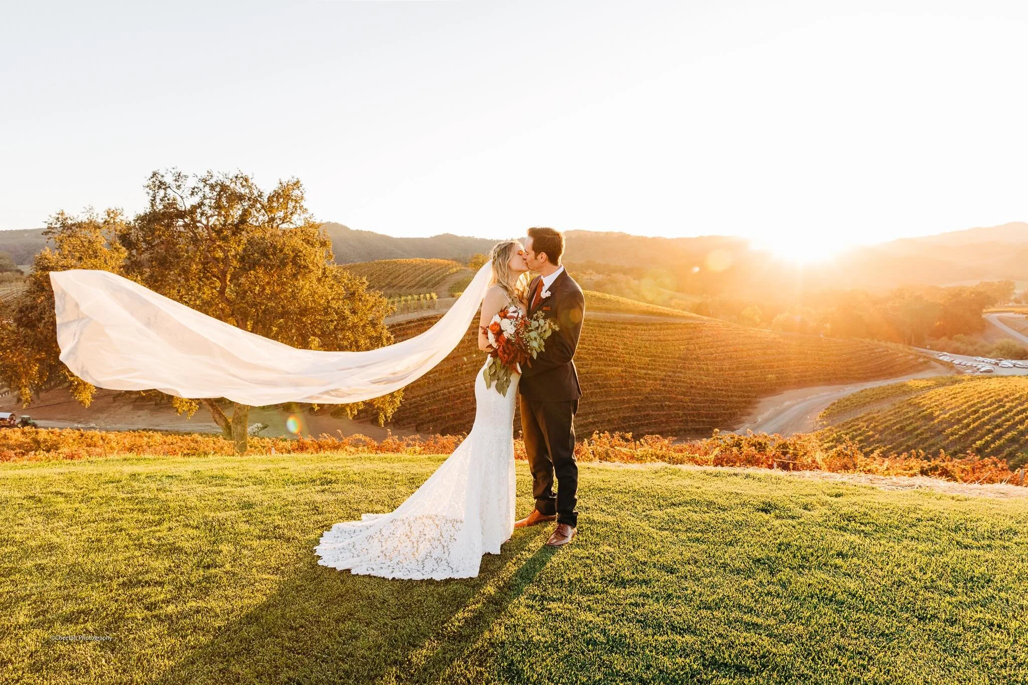 I&rsquo;ll never get over vineyard sunsets and wedding days🖤

#GoldenHourWedding #VineyardWedding #WeddingPhotographer #BrideAndGroom #cheetahdjphotography