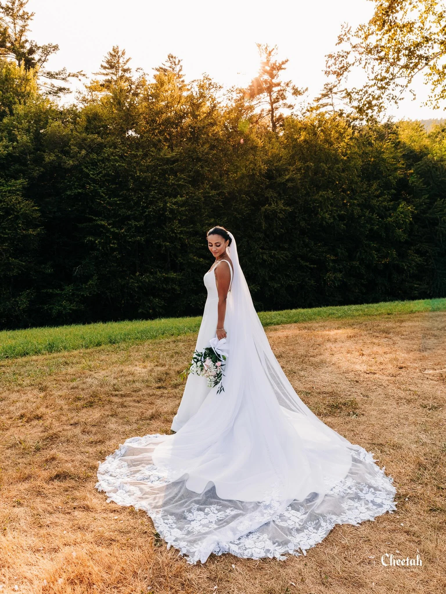 Golden hour, a stunning bride, and a little Cheetah magic🖤

#CheetahDJPhotography #MassachusettsWeddingPhotographer #NewEnglandWeddingPhotographer #BridalPortraits #WeddingPhotography