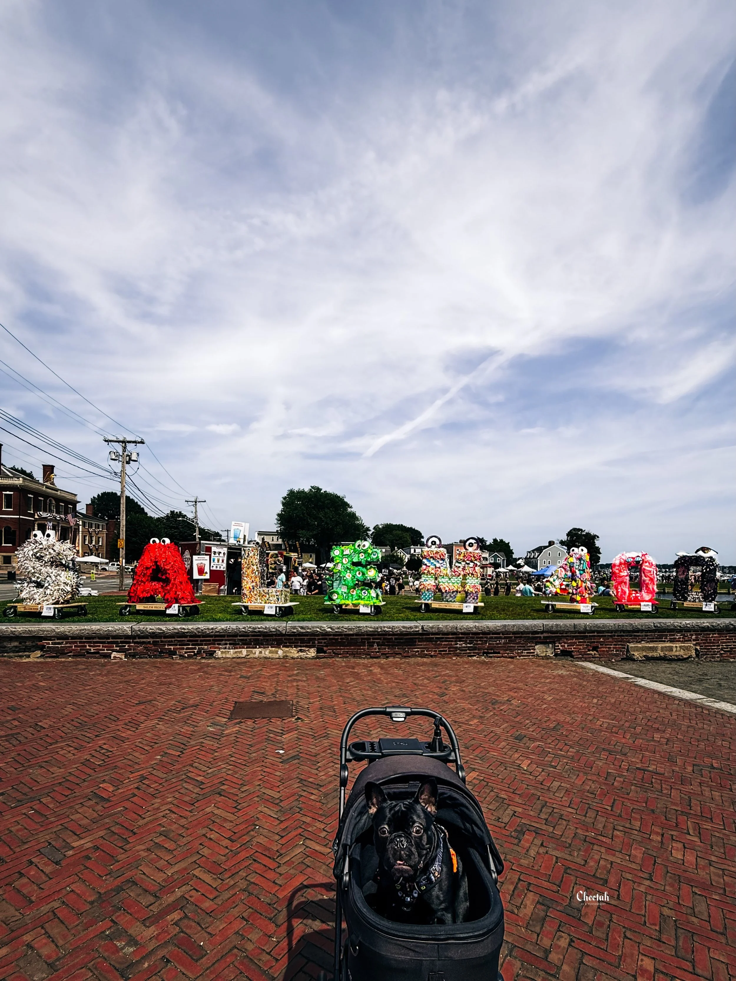A fun day at the Salem Maritime boat race! We wandered the waterfront, celebrated Salem 400, watched the races, met Nathaniel Hawthorne, and of course ran into Frankenstein and Jack Skellington. Ozzy wasn&rsquo;t too sure about Jack Skellington and F