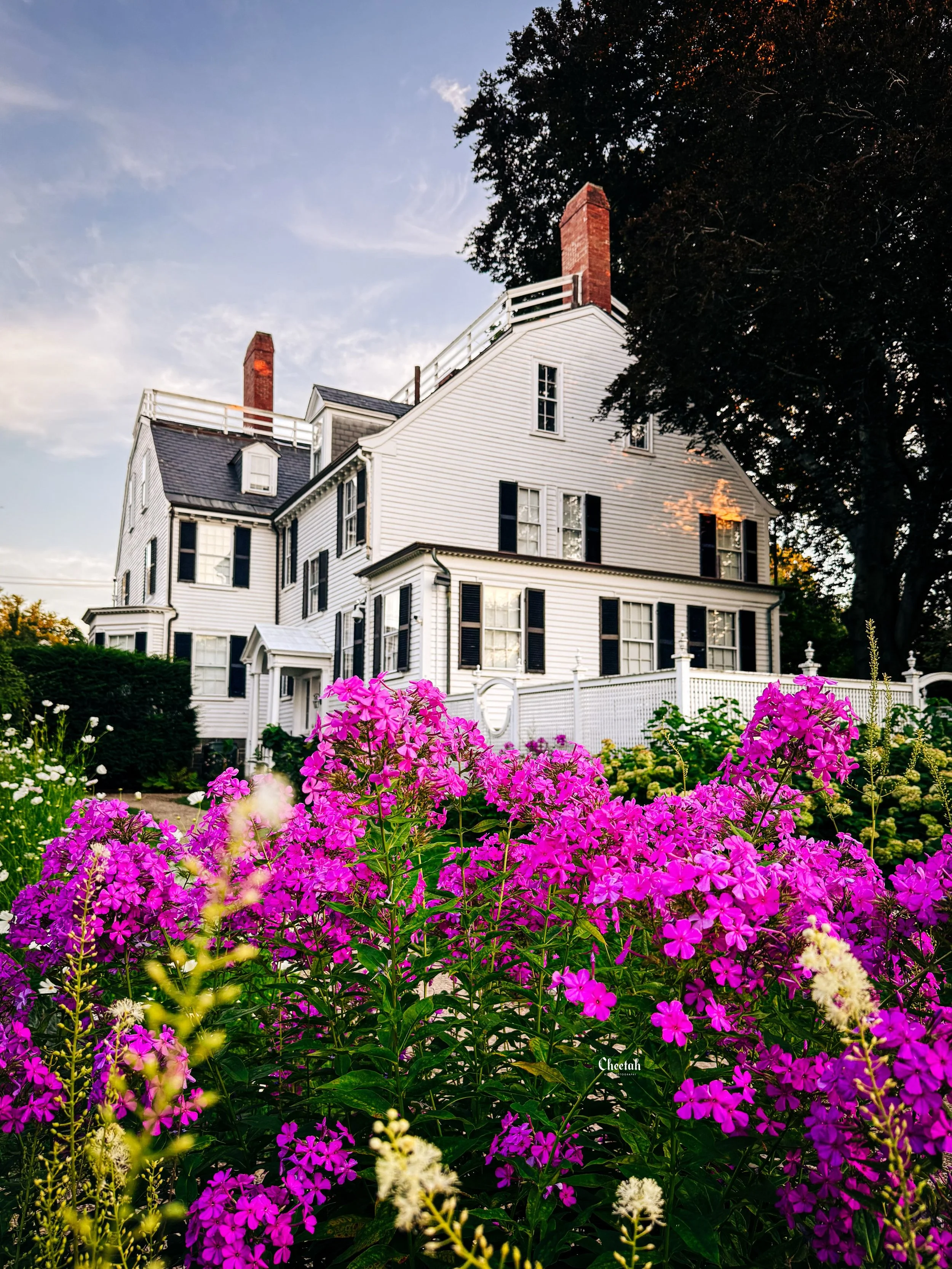 An evening at the Ropes Mansion Garden. 🌸

We only had a few minutes before the gates closed, but it was just enough time to wander through the gardens and enjoy the last light of the day.

Swipe to the end for my favorite little discovery&mdash;a b