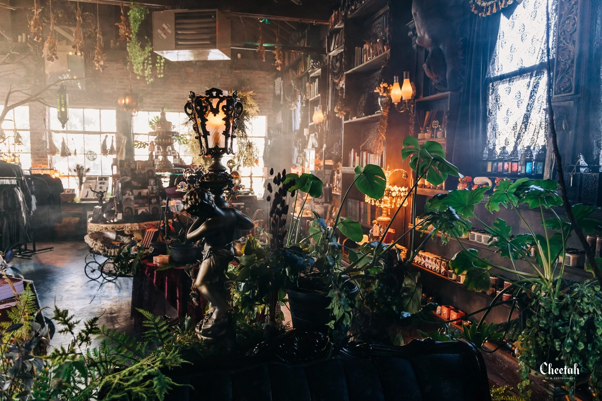 Where the light is low, the plants run wild, and every corner feels like it has a story. 🖤🌿

#SalemMA #SalemMassachusetts #DarkAesthetic #MoodyPhotography #cheetahdjphotography