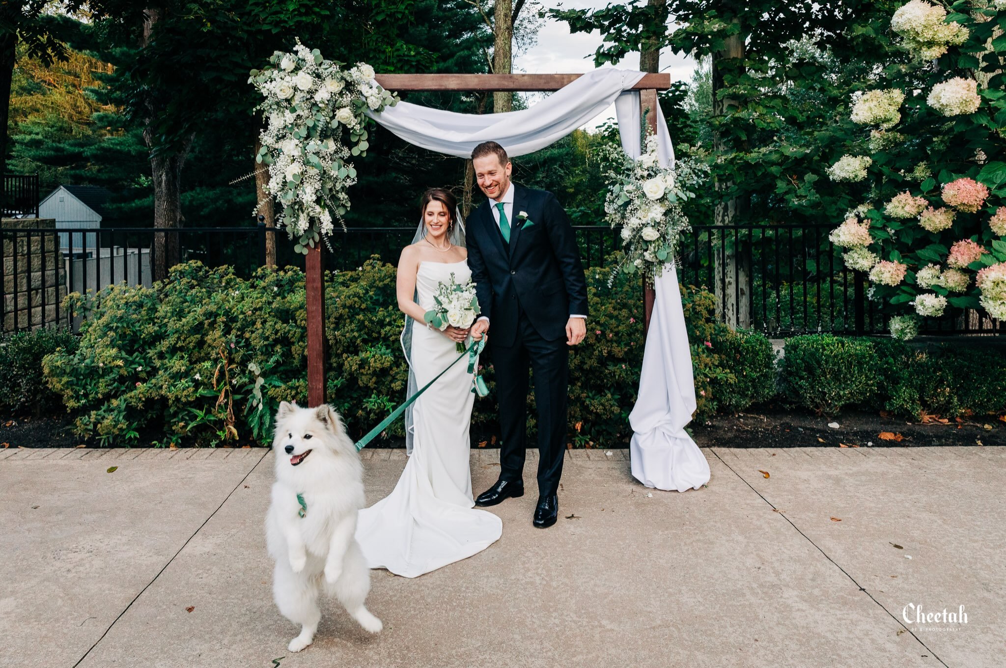 Currently working on this gorgeous wedding and I&rsquo;m obsessed with these three. 🖤🐾📸

#BriarBarnInnWedding #RowleyMAWedding #MassachusettsWeddingPhotographer #NorthShoreWeddingPhotographer #CheetahDJPhotography
