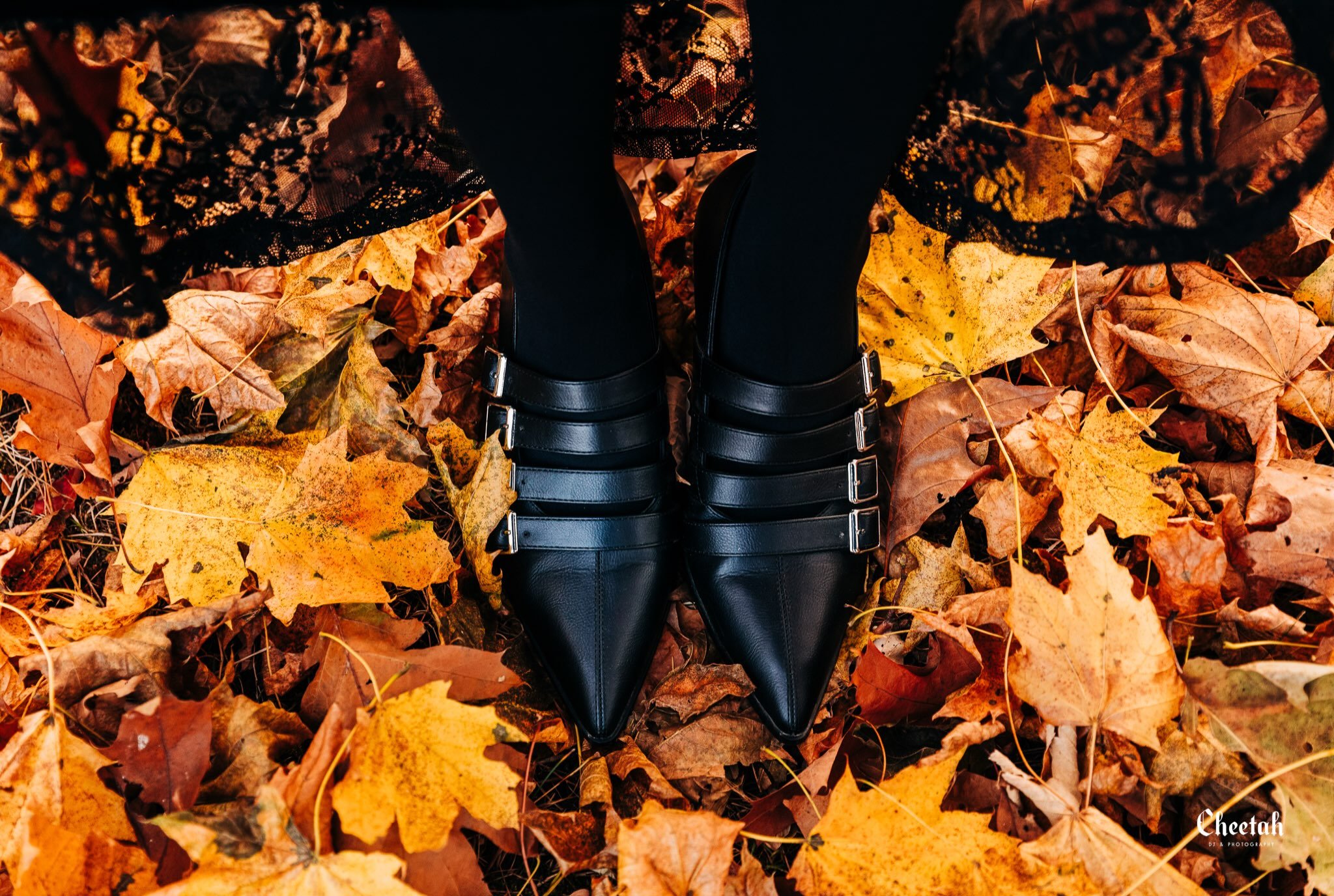 Pointed toes, buckled straps, and Salem leaves. Nothing beats living in Salem, MA during the fall🍁✨

#SalemMA #WitchCity #CheetahDJPhotography #WitchyAesthetic #SalemFall