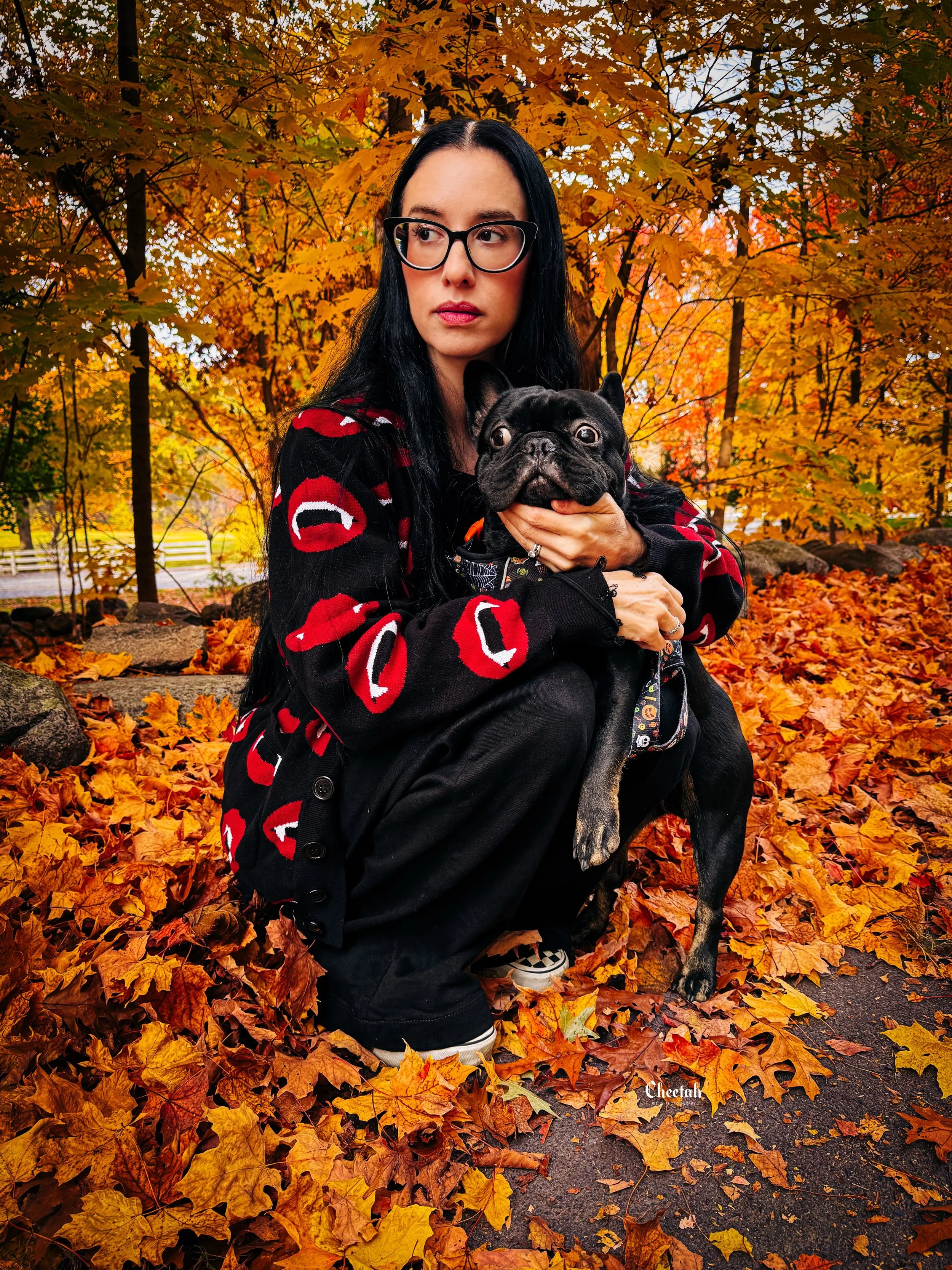 Enjoying the autumn leaves with my favorite gremlin🍁🖤

#witchcity #salemmassachusetts #cheetahdjphotography #frenchbulldoglove #autumnvibes