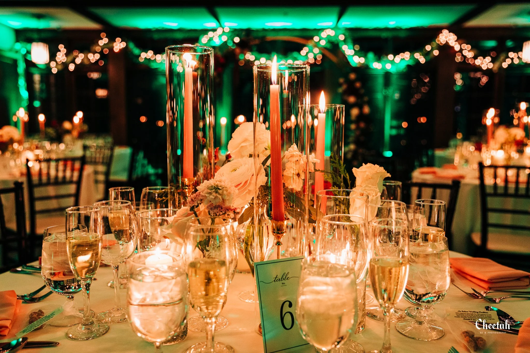 Michelle & Jim Willowdale Estate Wedding Topsfield Ma  Cheetah DJ & Photography Salem Ma1597.jpg