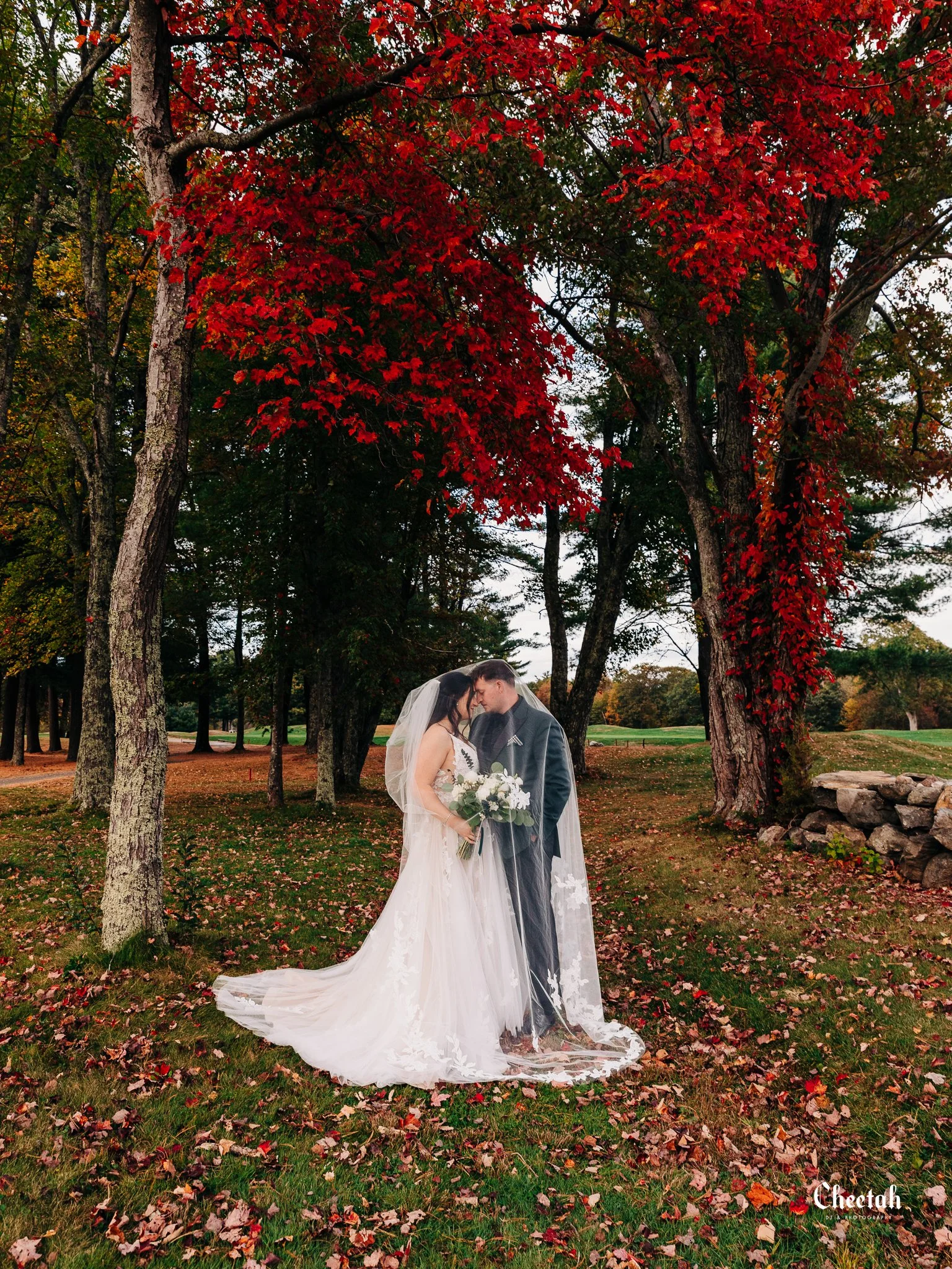 Mikayla & Nick Wedding Cheetah DJ & Photography Salem Ma1844.jpg