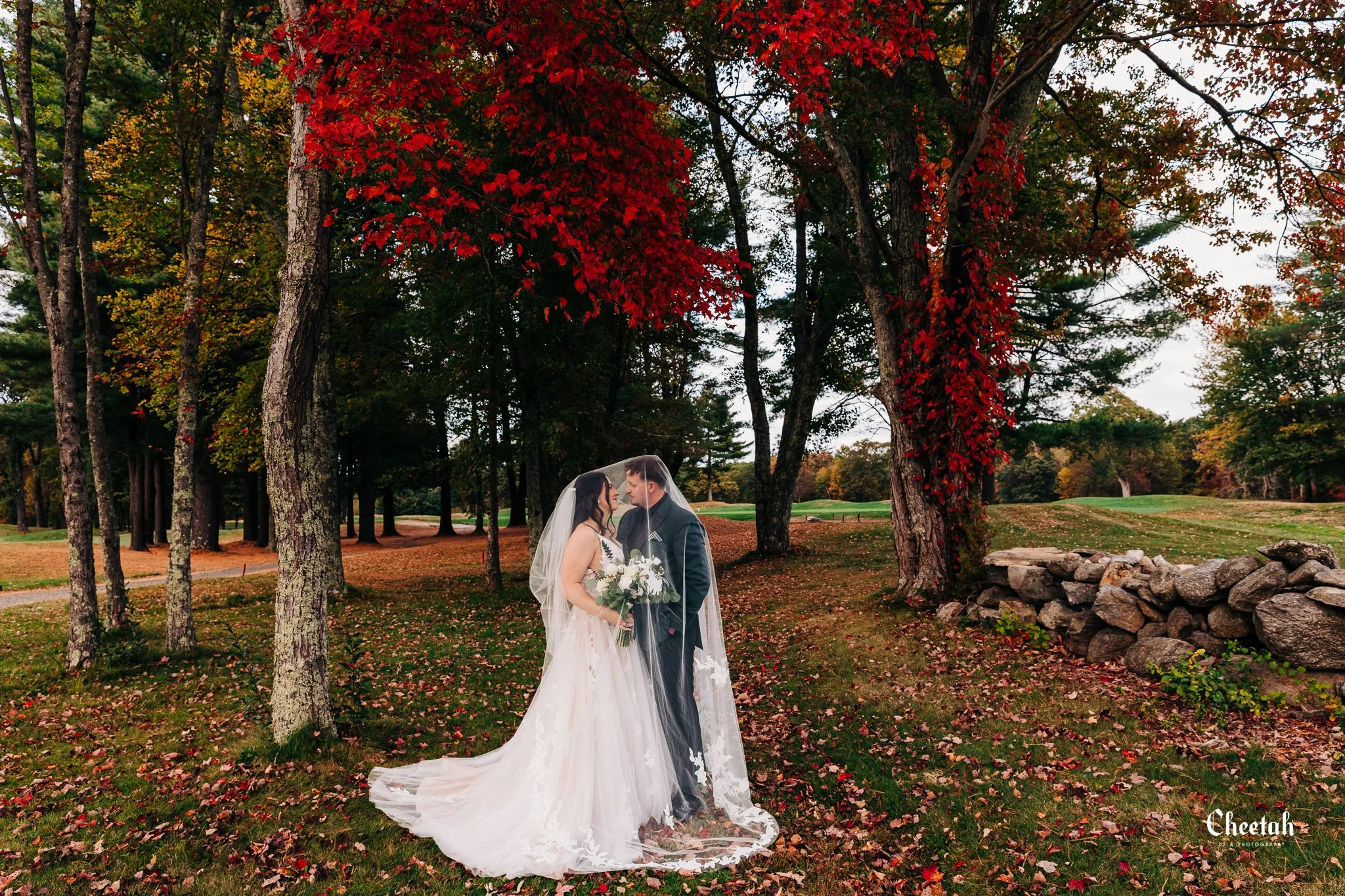 Mikayla & Nick Wedding Cheetah DJ & Photography Salem Ma1804.jpg