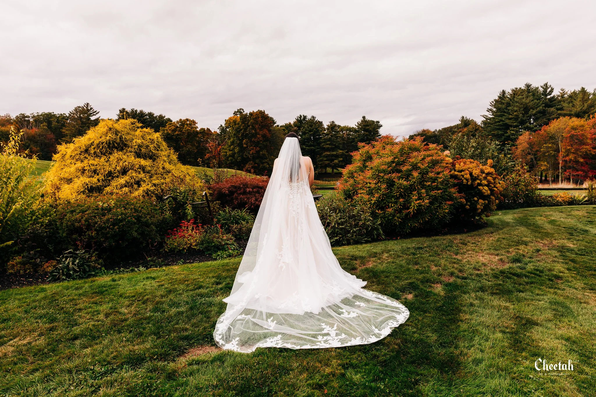 Mikayla & Nick Wedding Cheetah DJ & Photography Salem Ma470.jpg