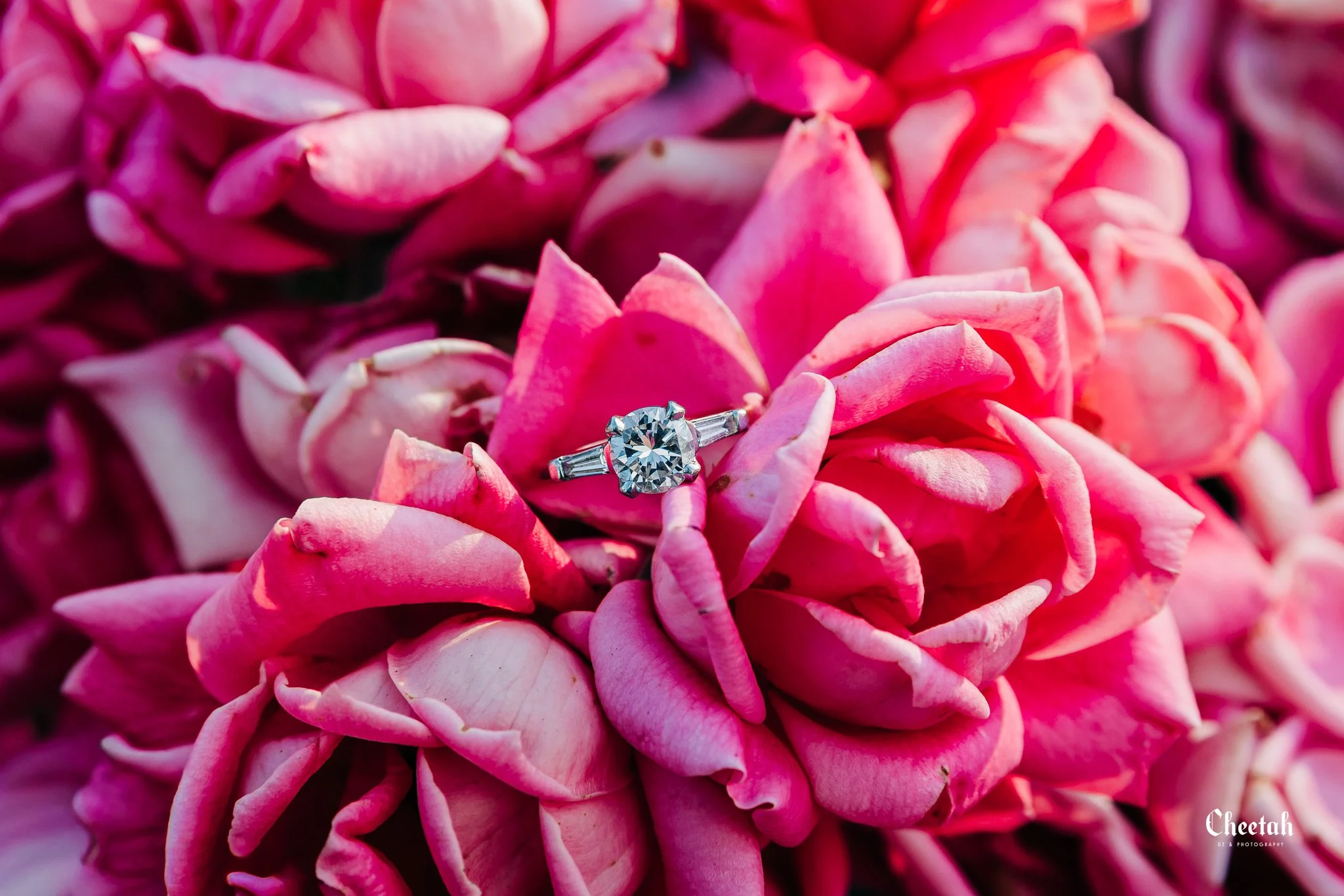 Will & Claire Engagement Session Boston MA Cheetah DJ & Photography Salem MA1276-2.jpg