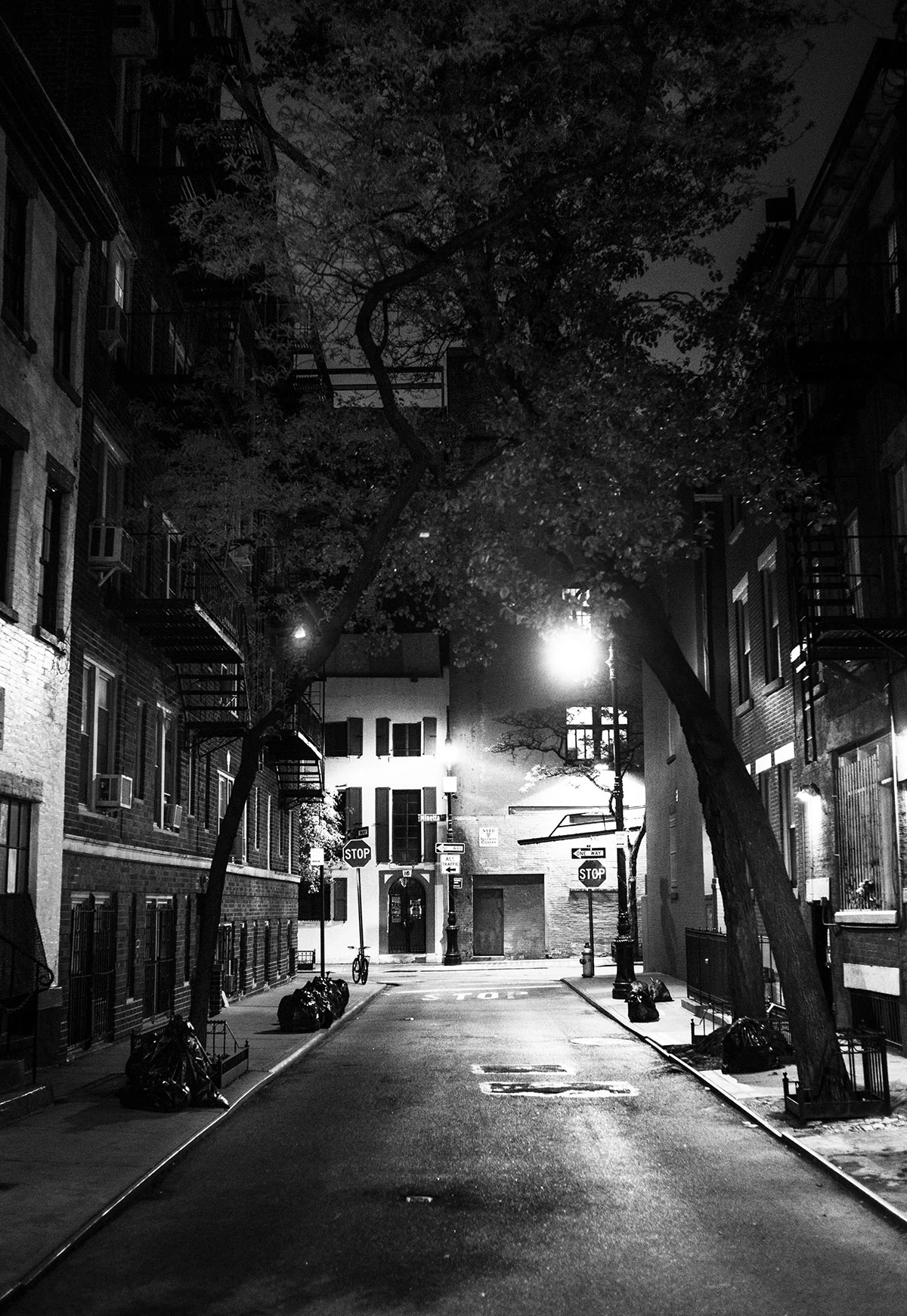 NYC_CONS06.jpg