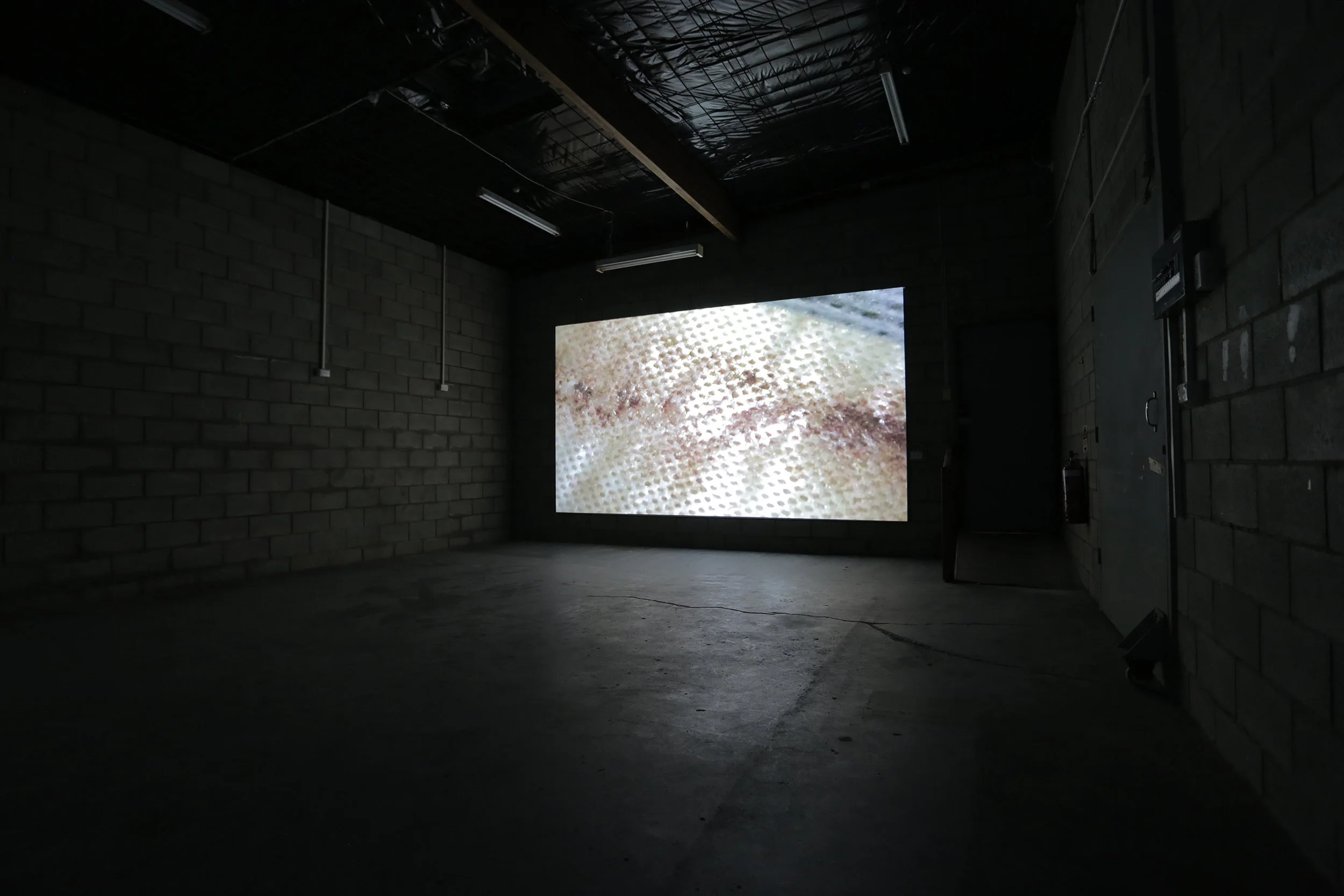 Bloodstain 2016, single channel HD digital video projection. Photograph by Llewellyn Millhouse.