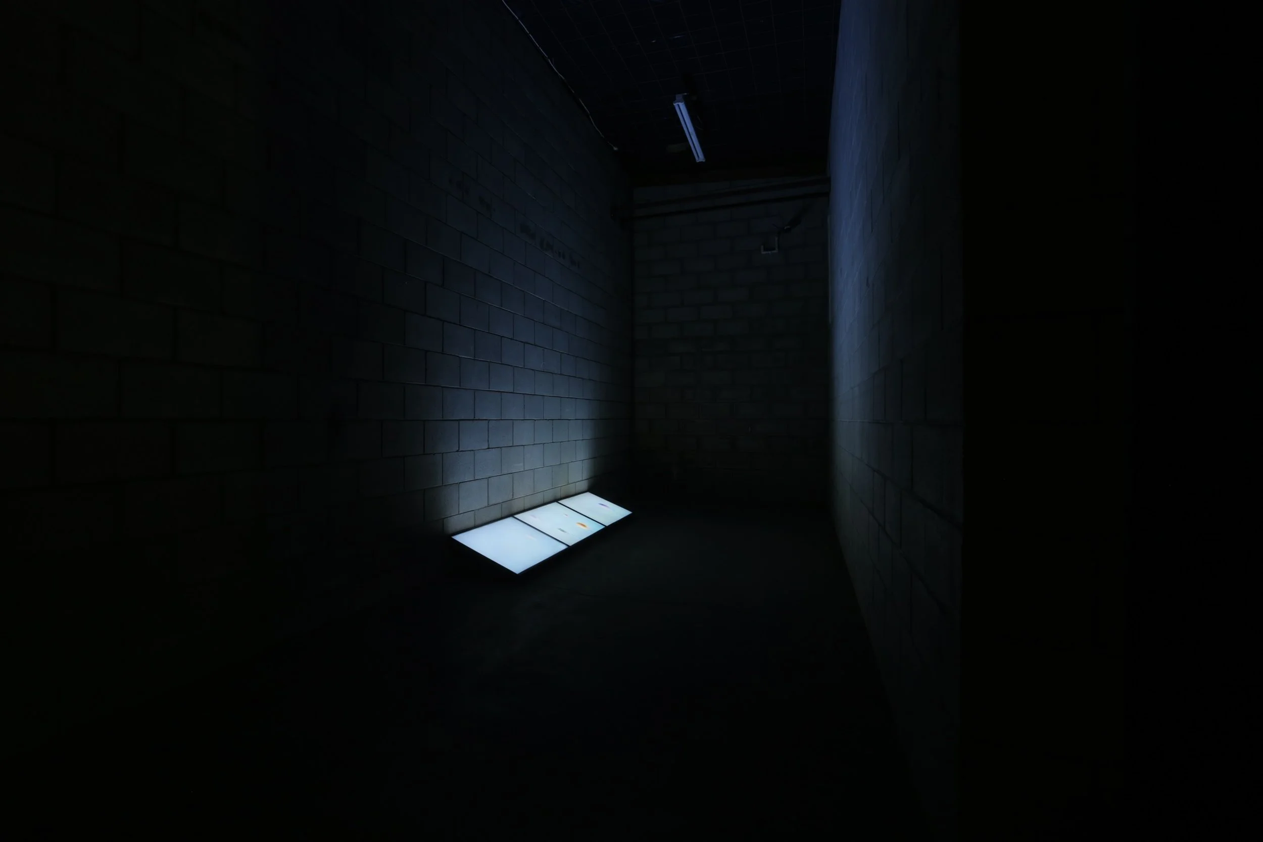 Bridge 2016, three channel HD digital video, 1:38 minutes. Photograph by Llewellyn Millhouse.