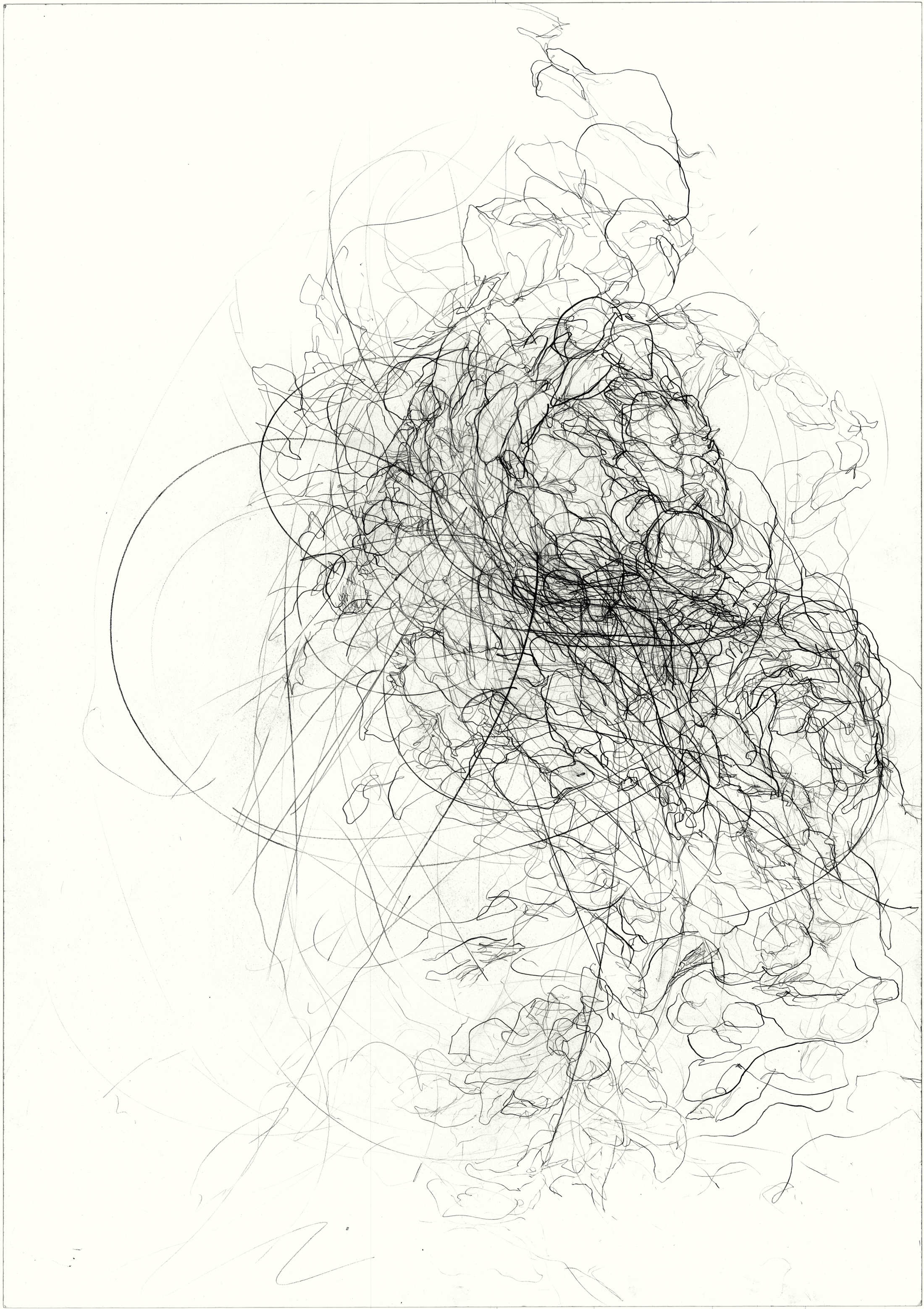   Absorb  2011, pencil on paper, 84.1 cm x 59.5 cm. 