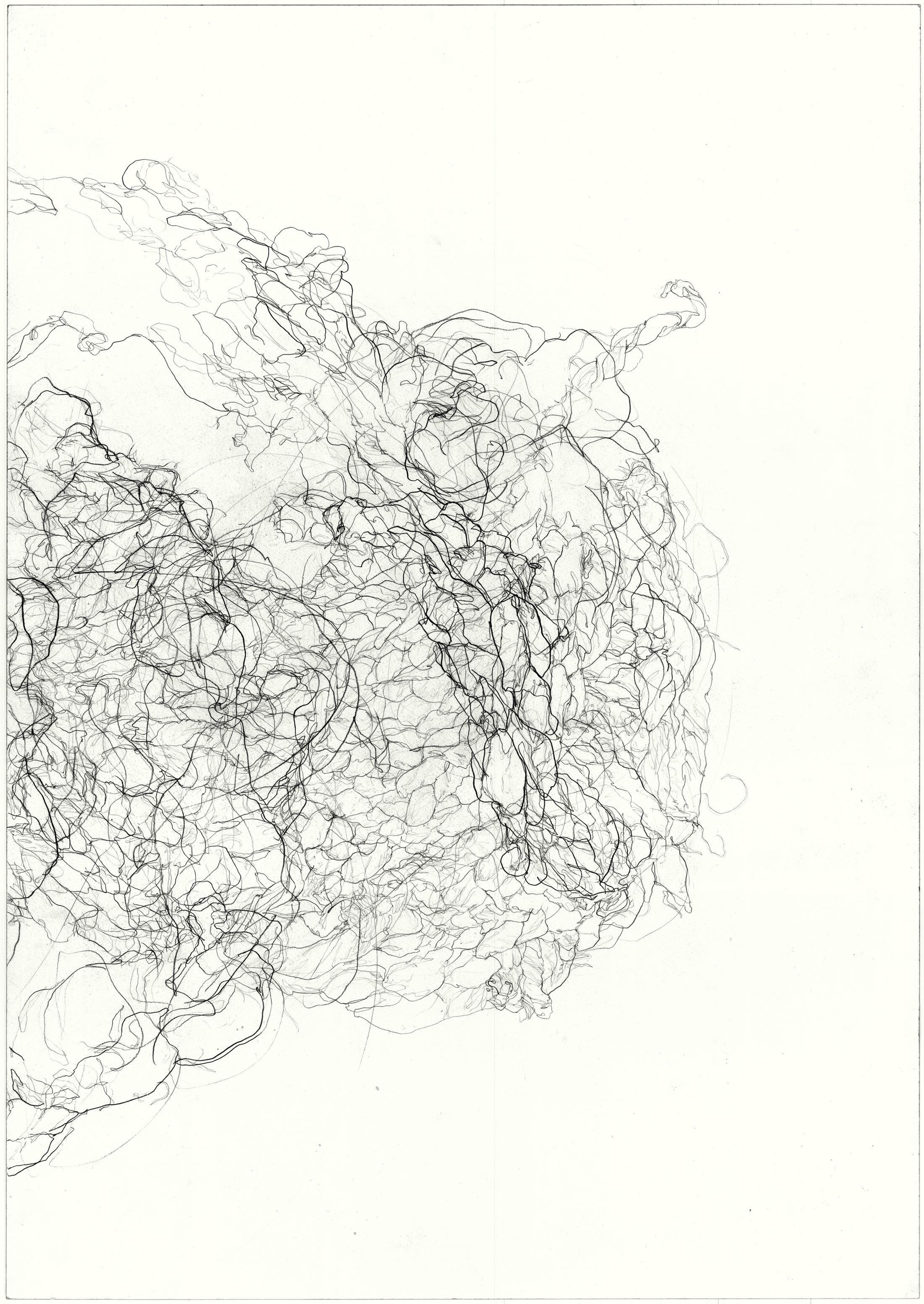   Strangle  2011, pencil on paper, 84.1 cm x 59.5 cm. 