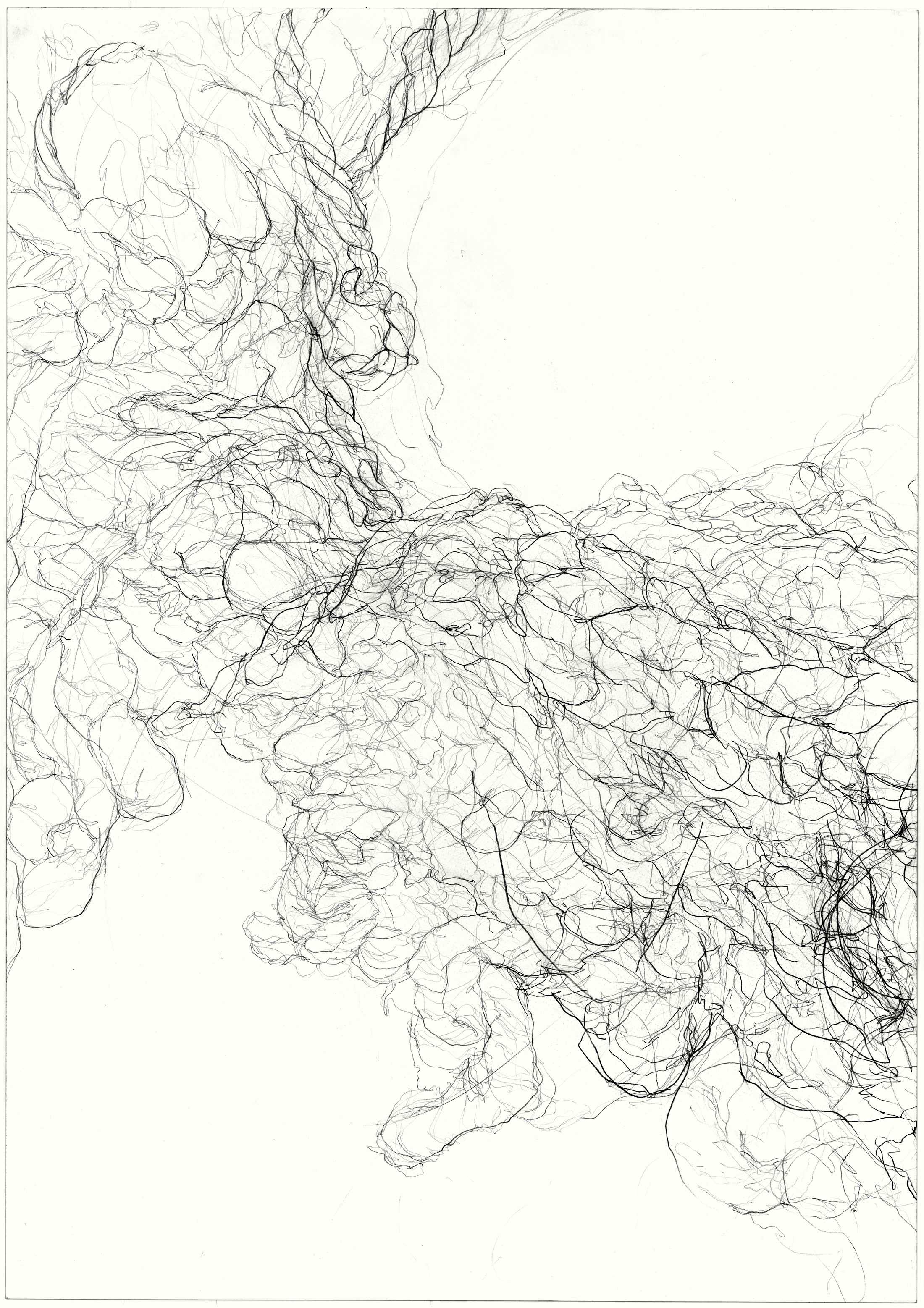 Worn 2011, pencil on paper, 84.1 cm x 59.5 cm.