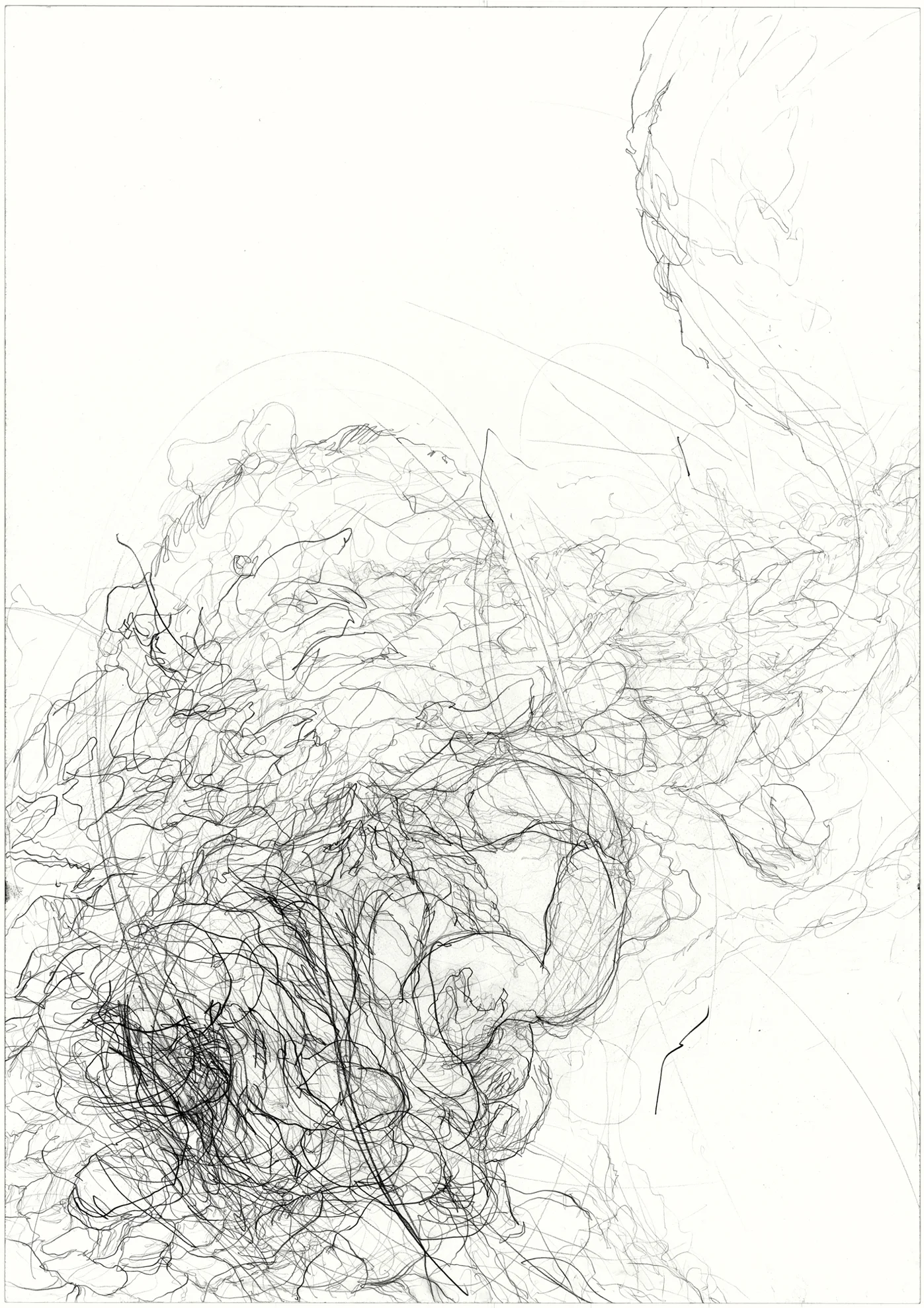 Undercurrent 2011, pencil on paper, 84.1 cm x 59.5 cm.