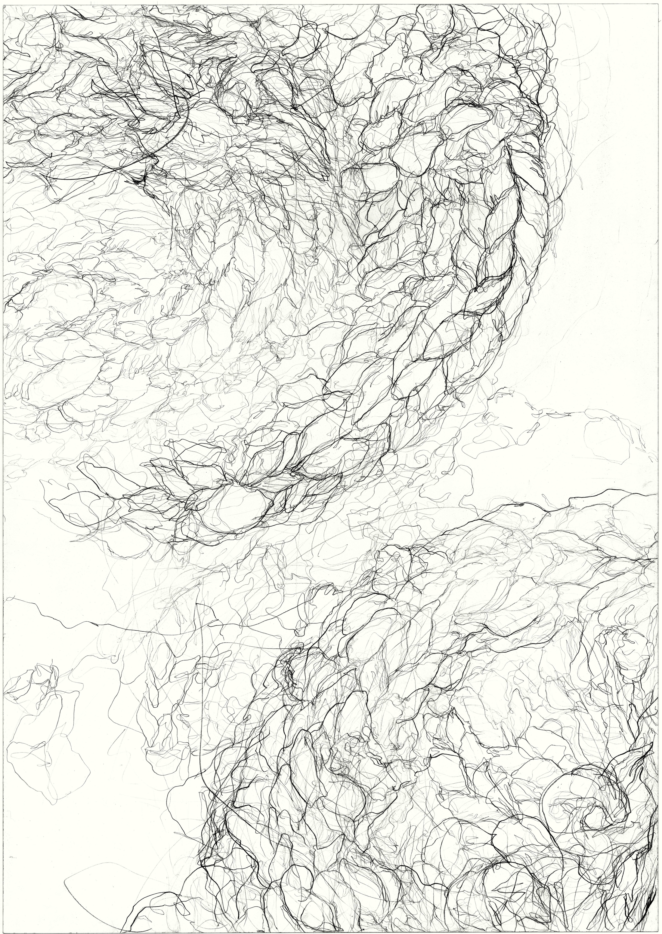   Dyskinesia  2011, pencil on paper, 84.1 cm x 59.5 cm. 