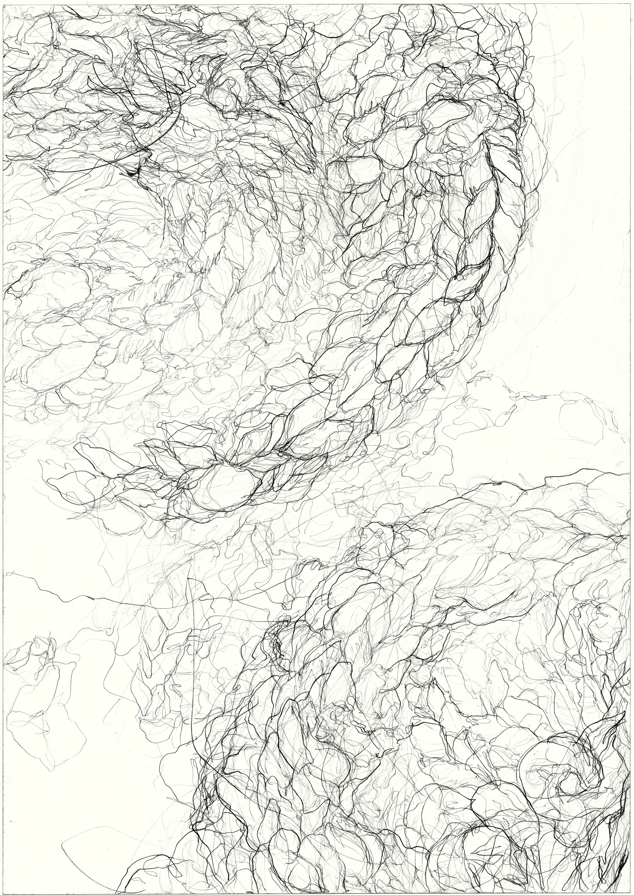 Dyskinesia 2011, pencil on paper, 84.1 cm x 59.5 cm.