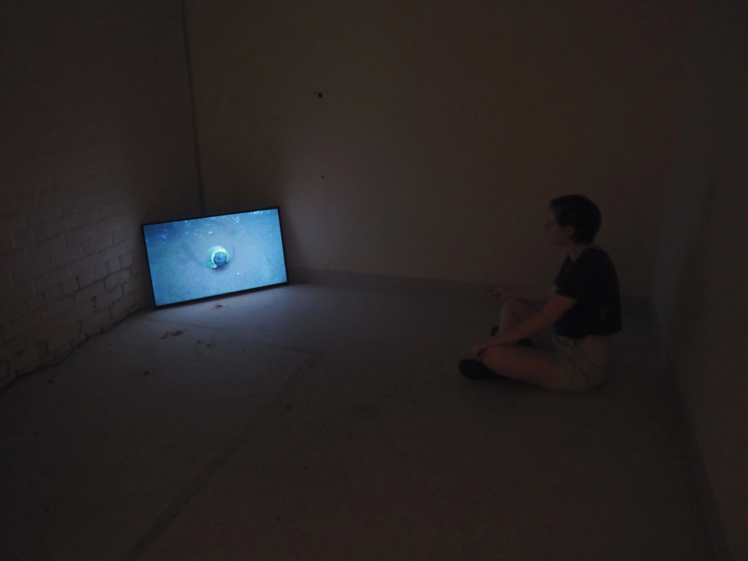 Tennis Ball 2016, single channel HD digital video, 1:18 minutes.