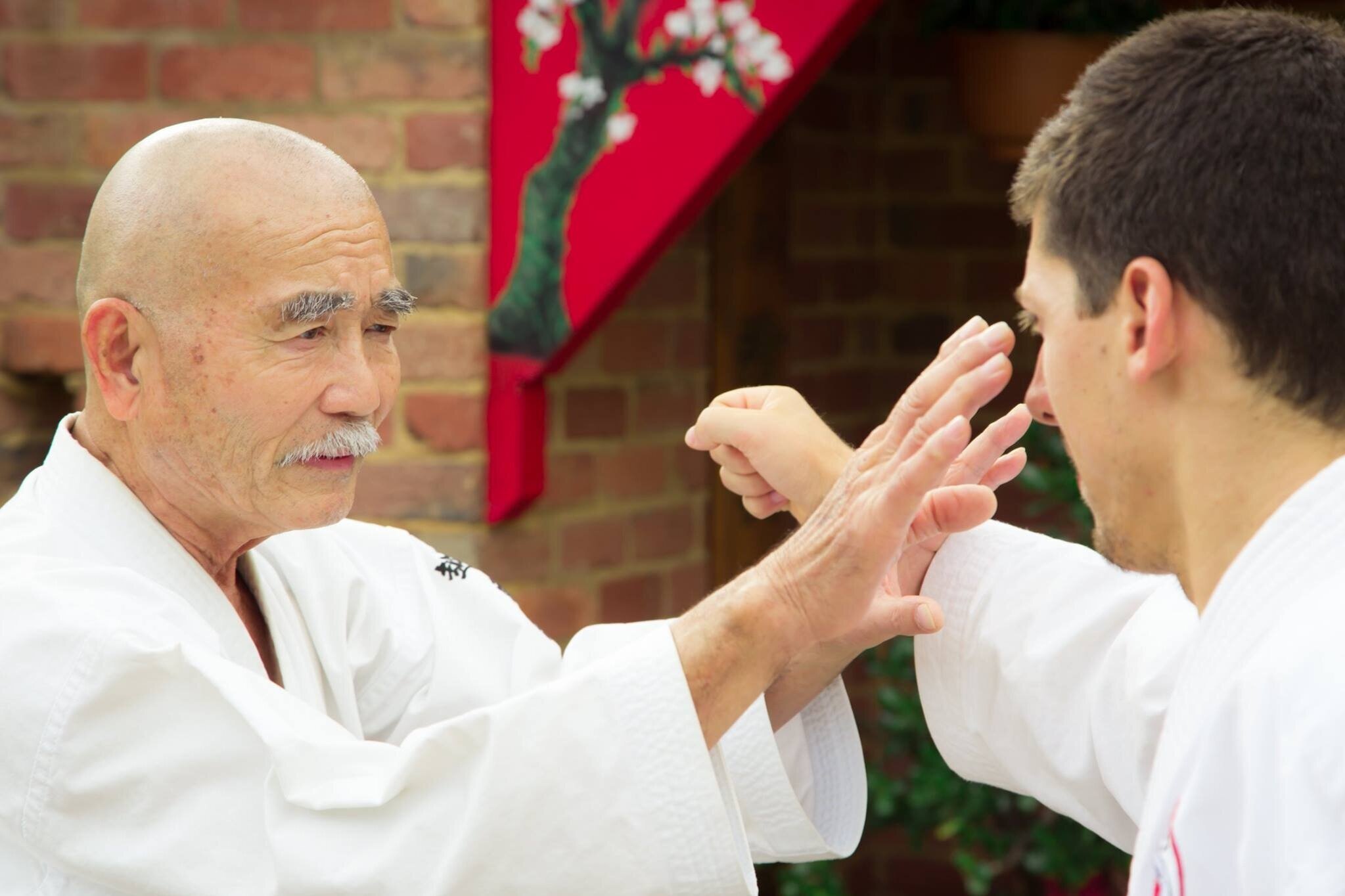 Sensei Noguchi demonstrating Goju Ryu karate techniques