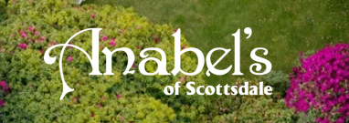 Anabel's of Scottsdale logo