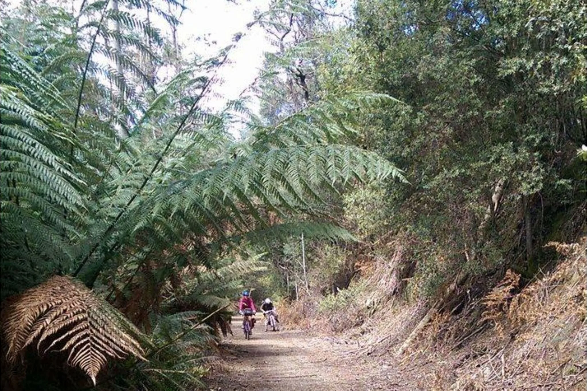 railtrail photo.jpg