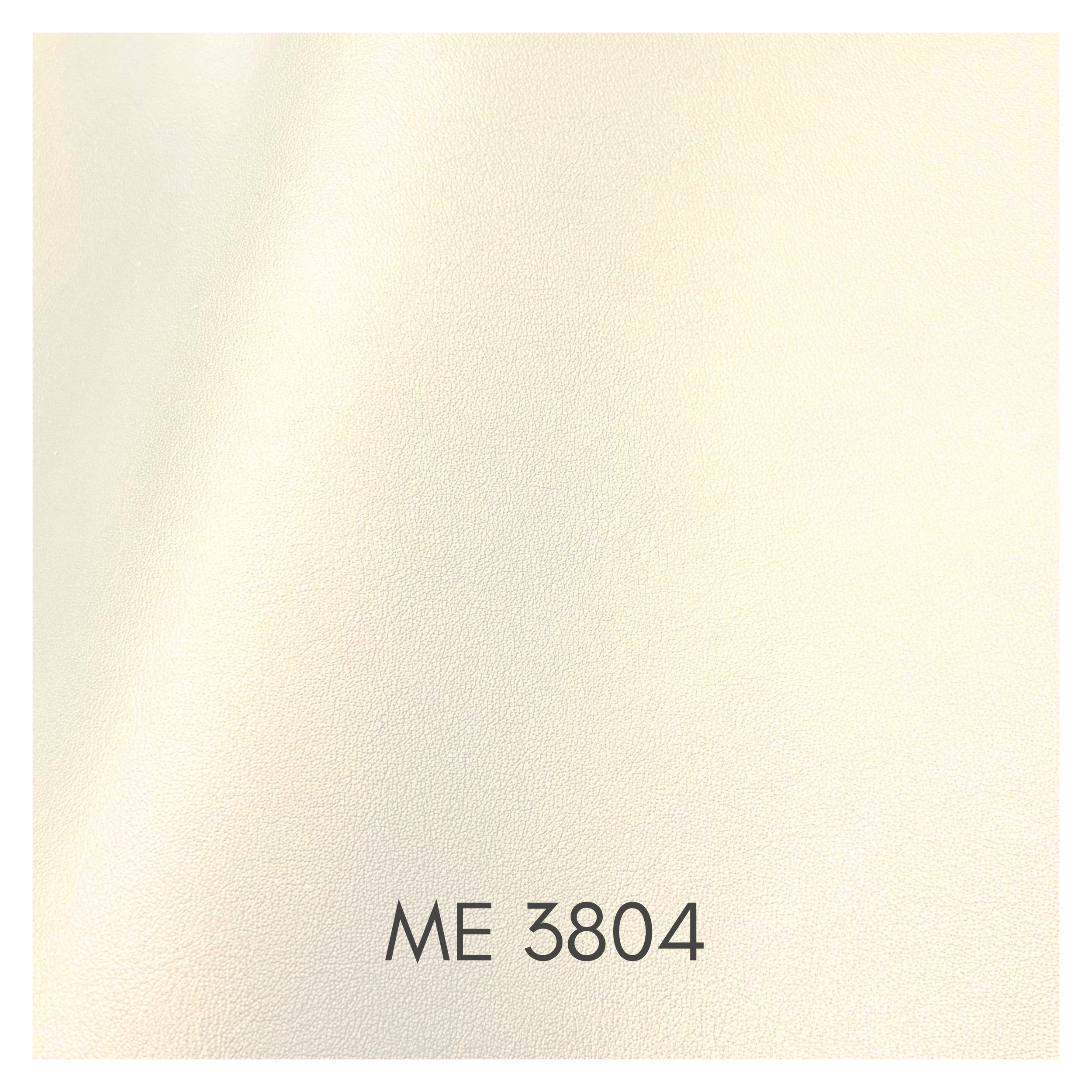 3804.jpg