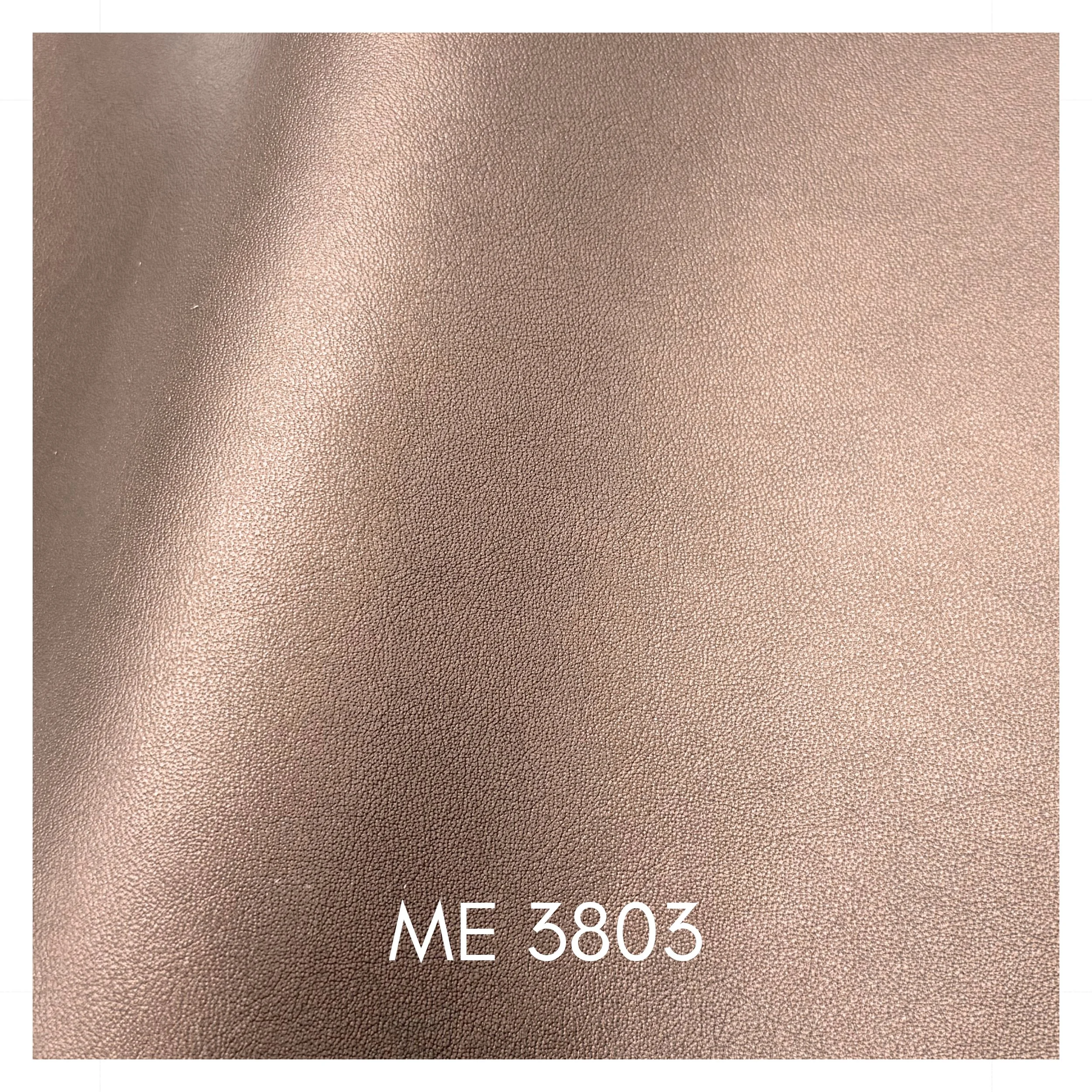 3803.jpg