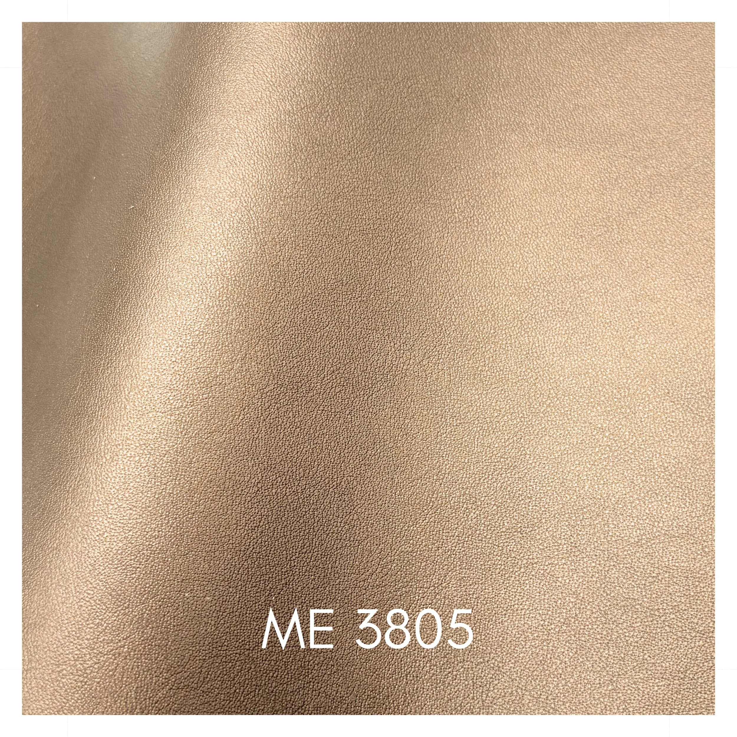 3805.jpg
