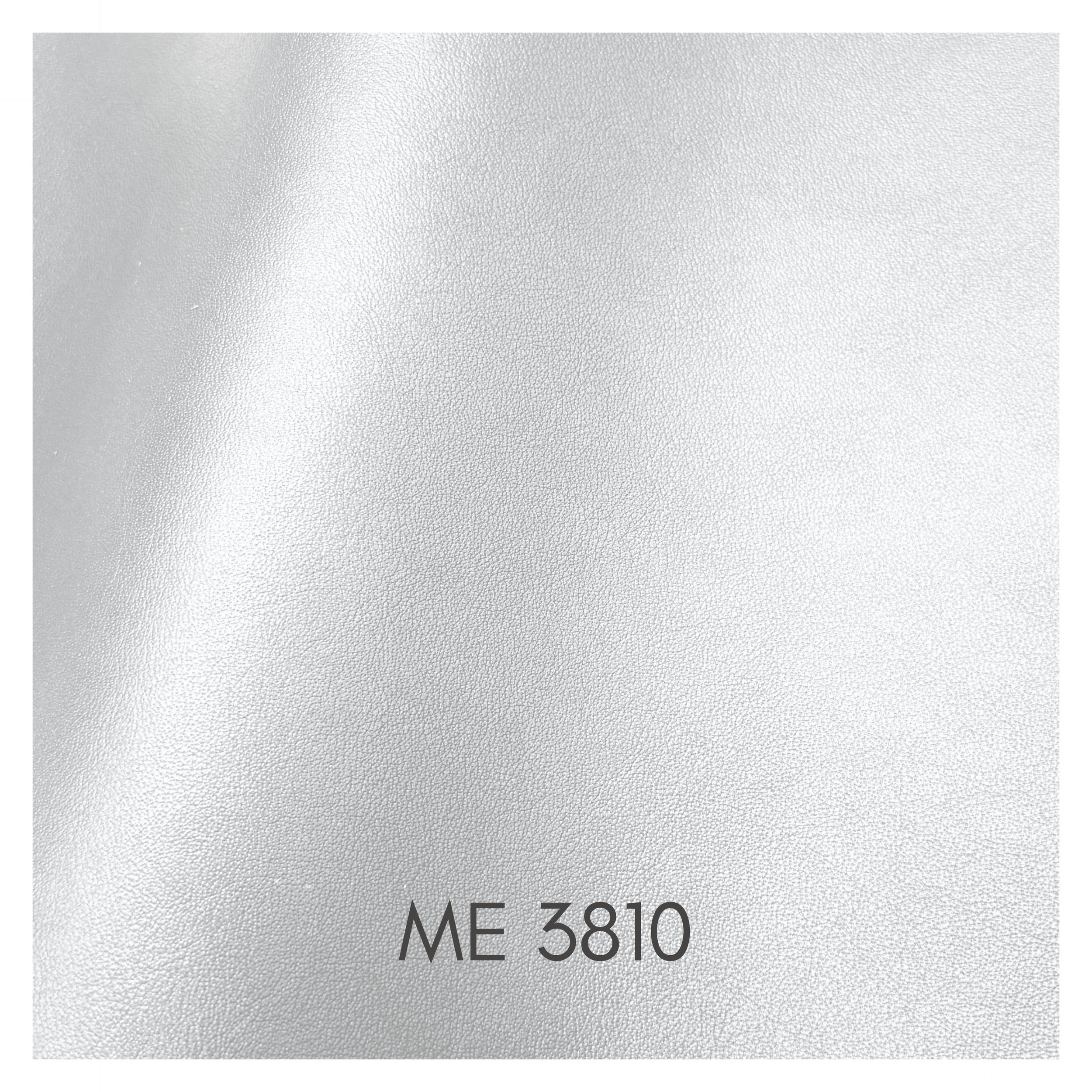 3810.jpg