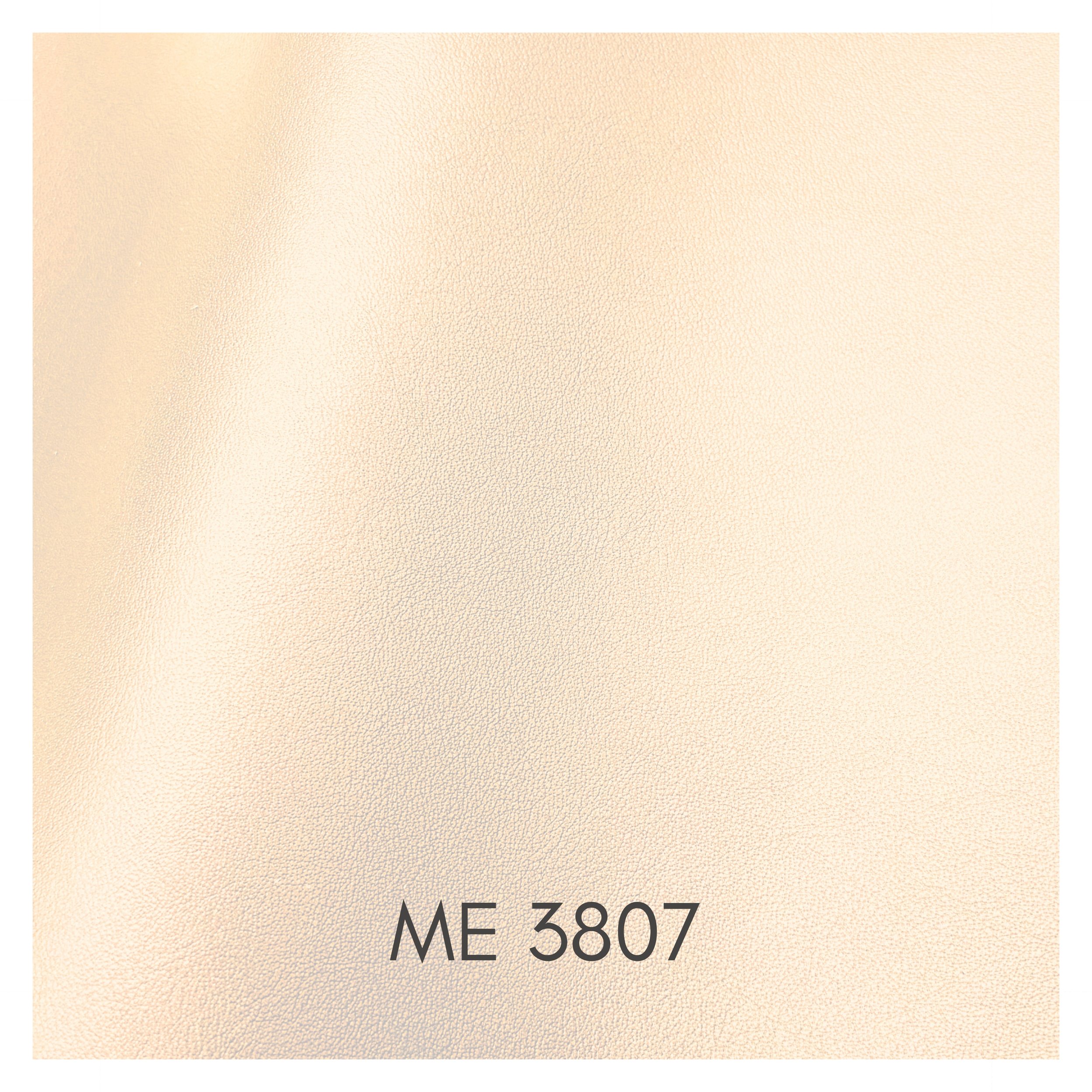 3807.jpg
