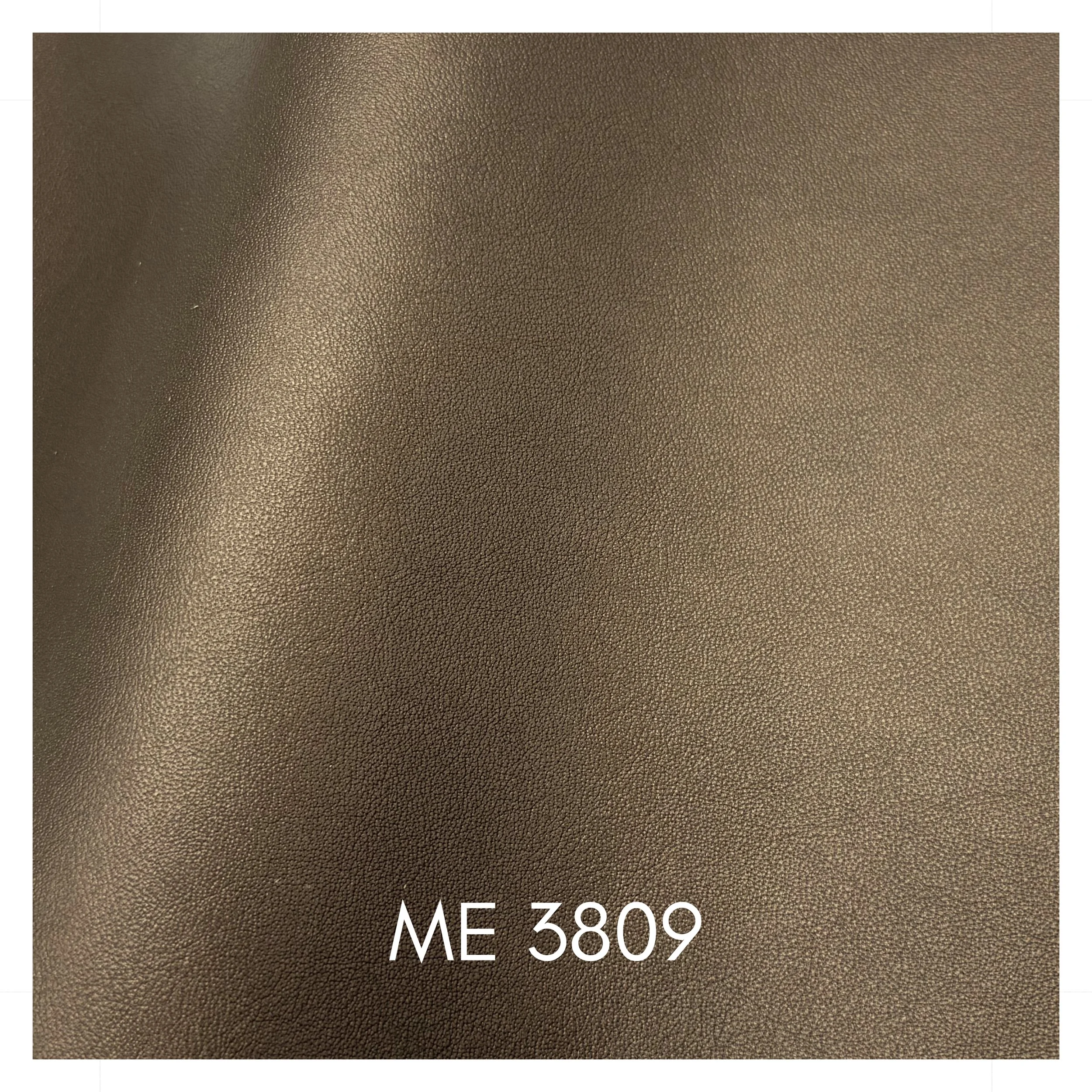 3809.jpg