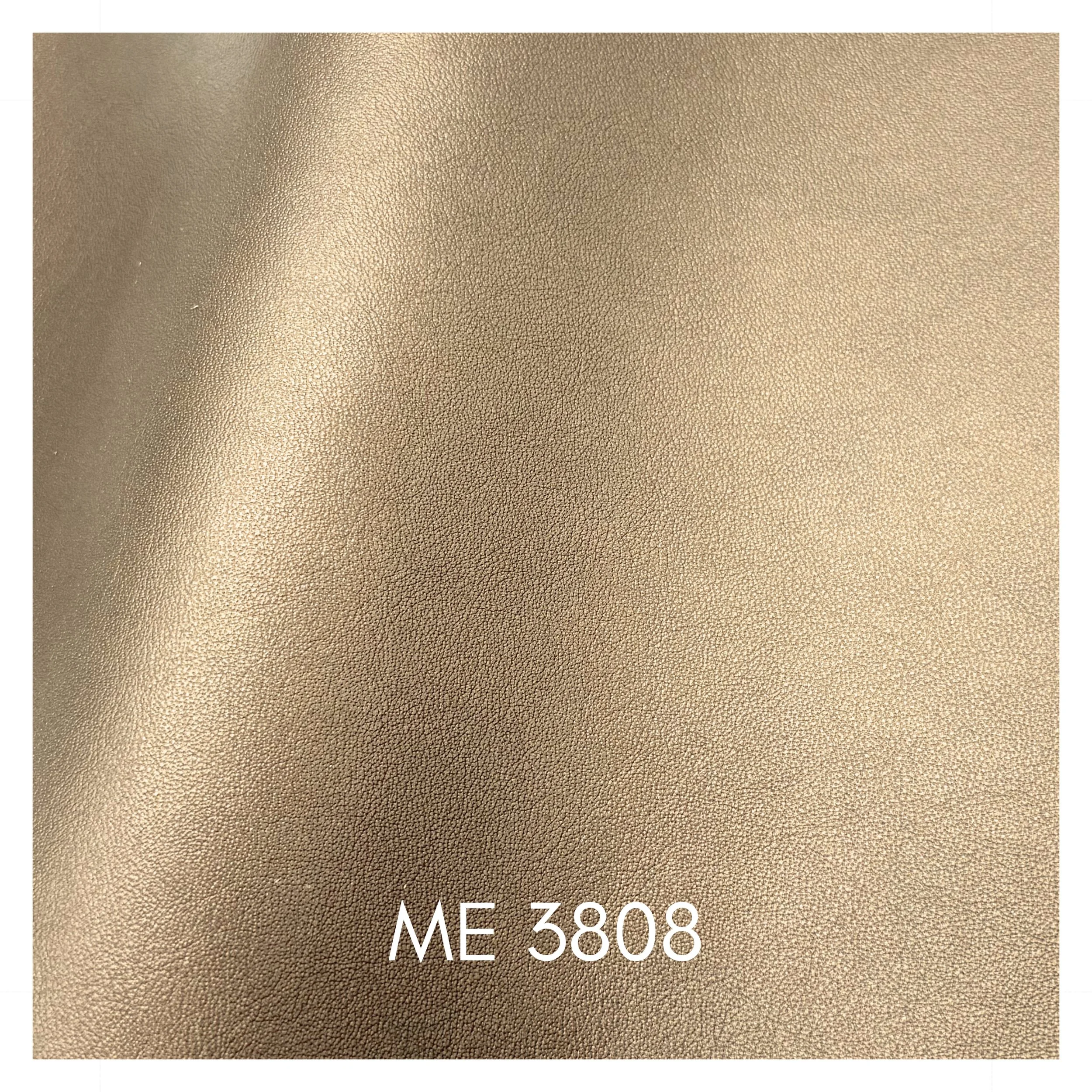 3808.jpg